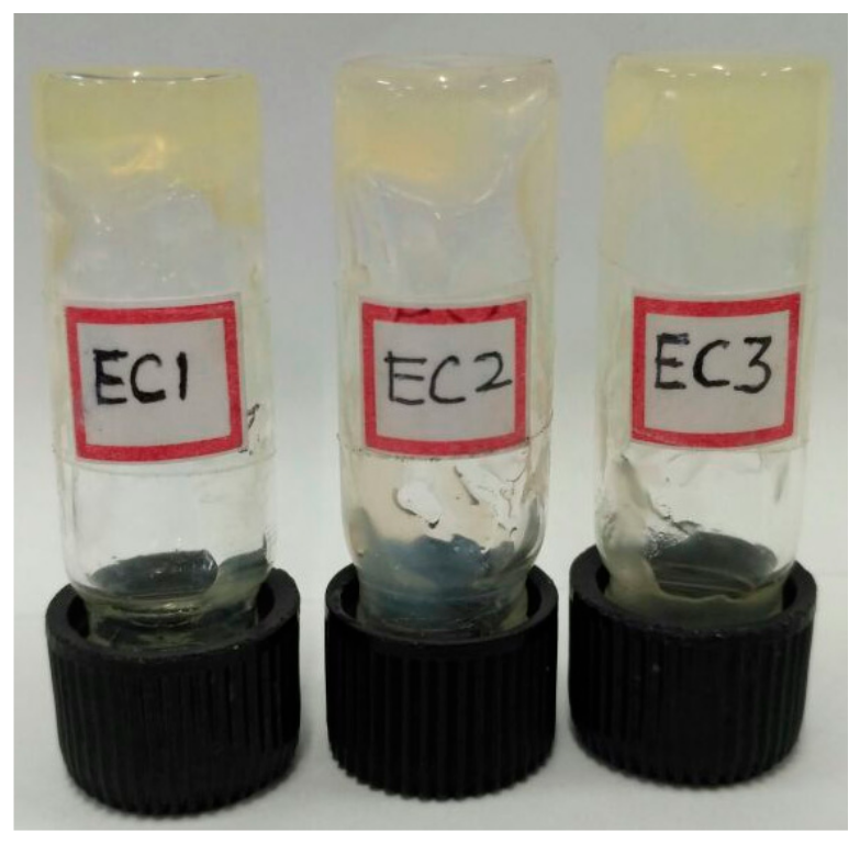 Polymers 09 00667 g003 550