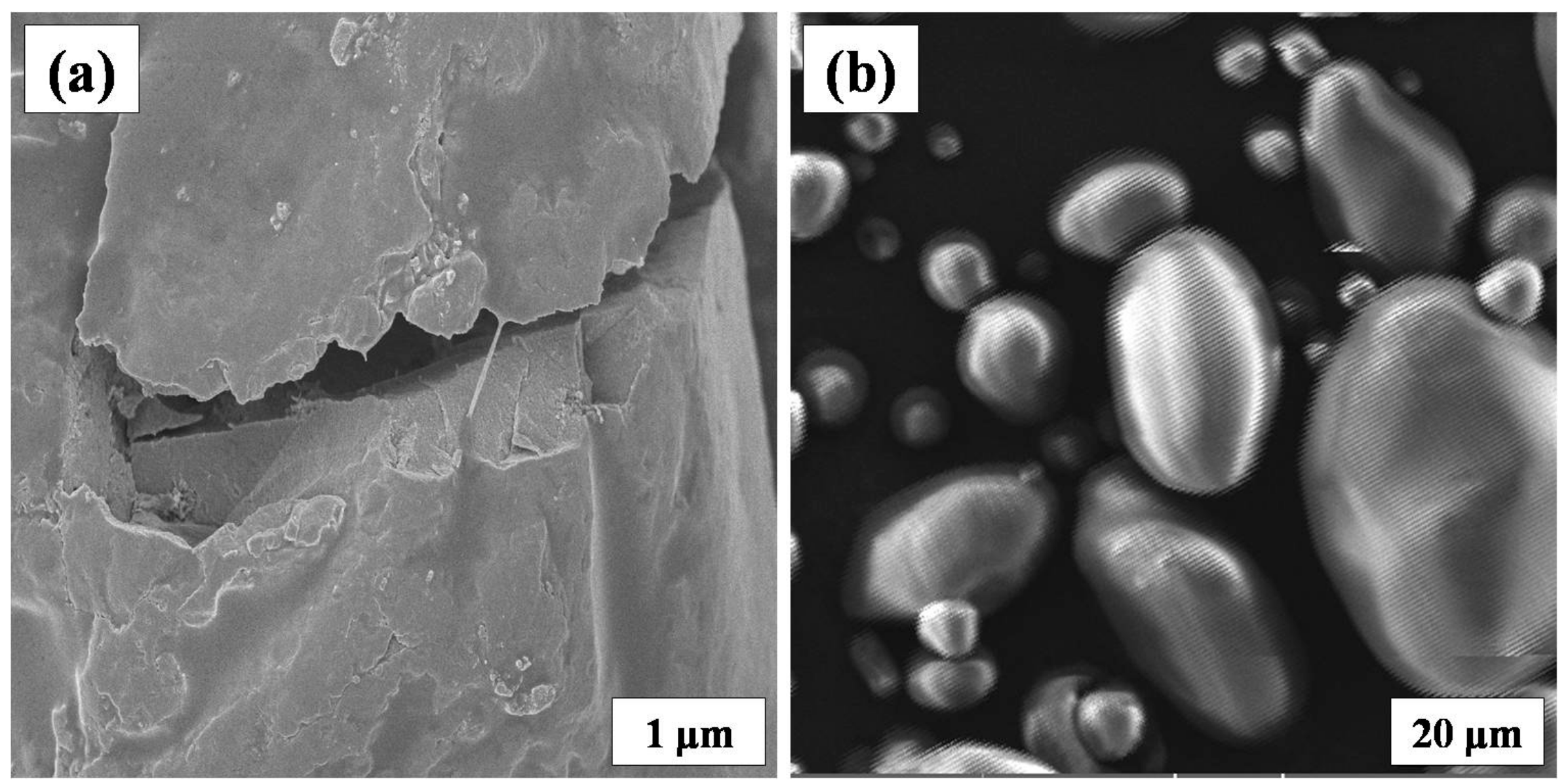 Polymers 09 00667 g008 550