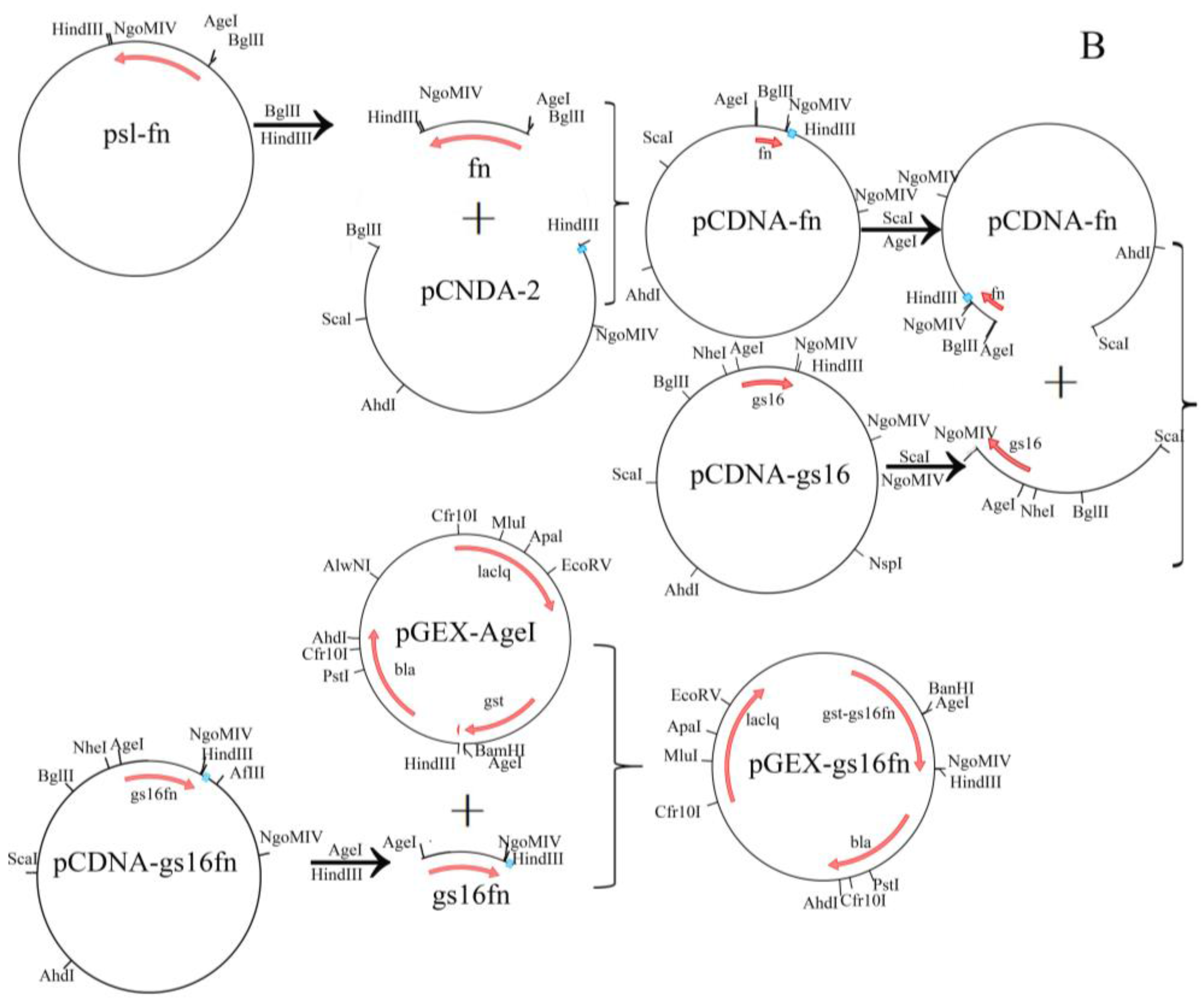 Polymers 09 00669 g001b