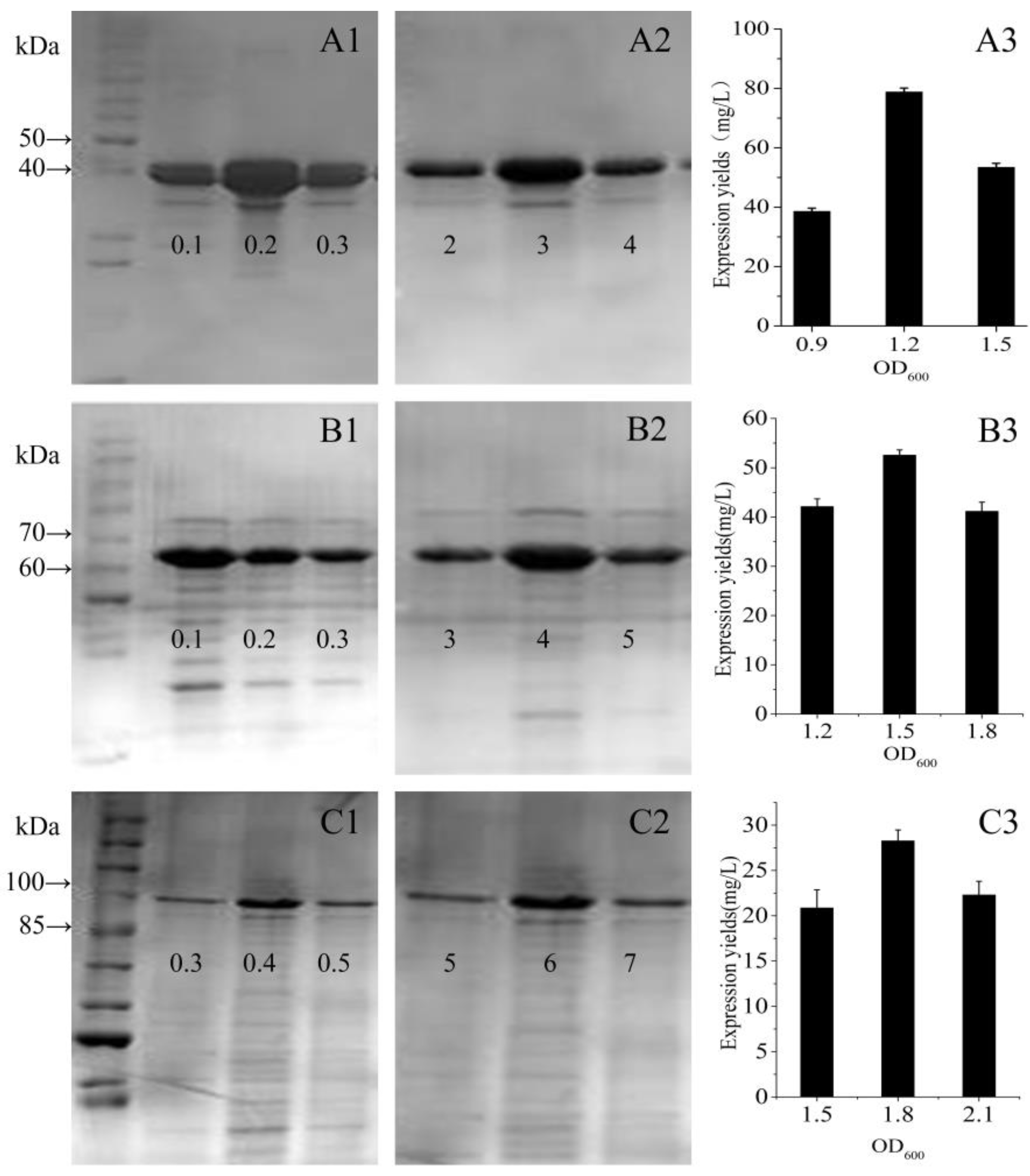 Polymers 09 00669 g006