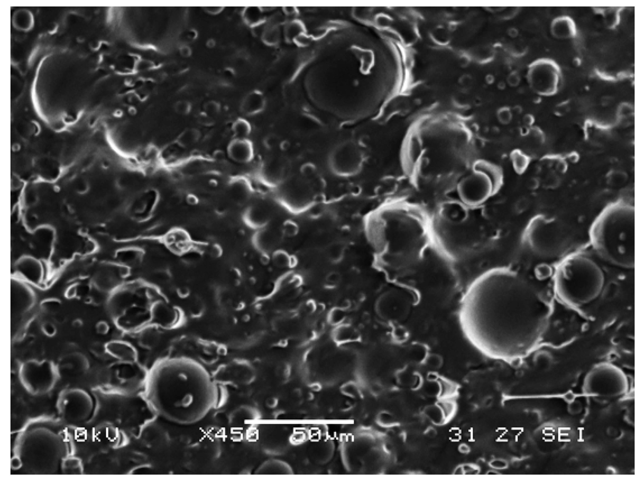 Polymers 09 00674 g003 550