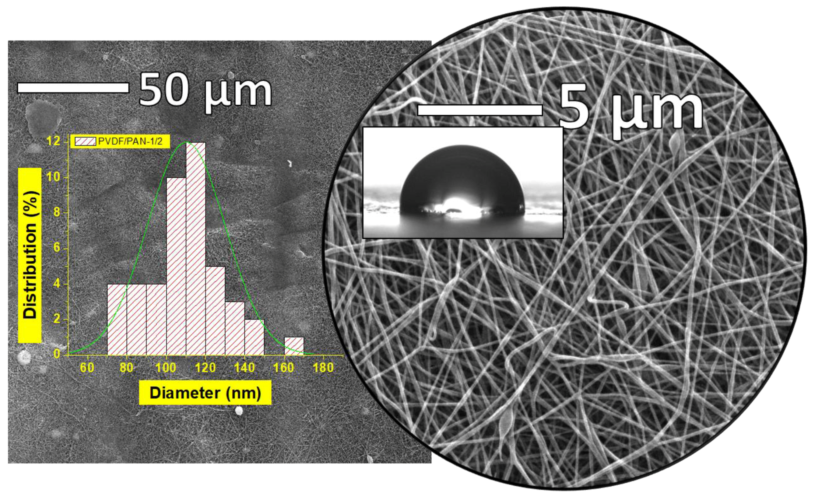 Polymers 09 00679 g004