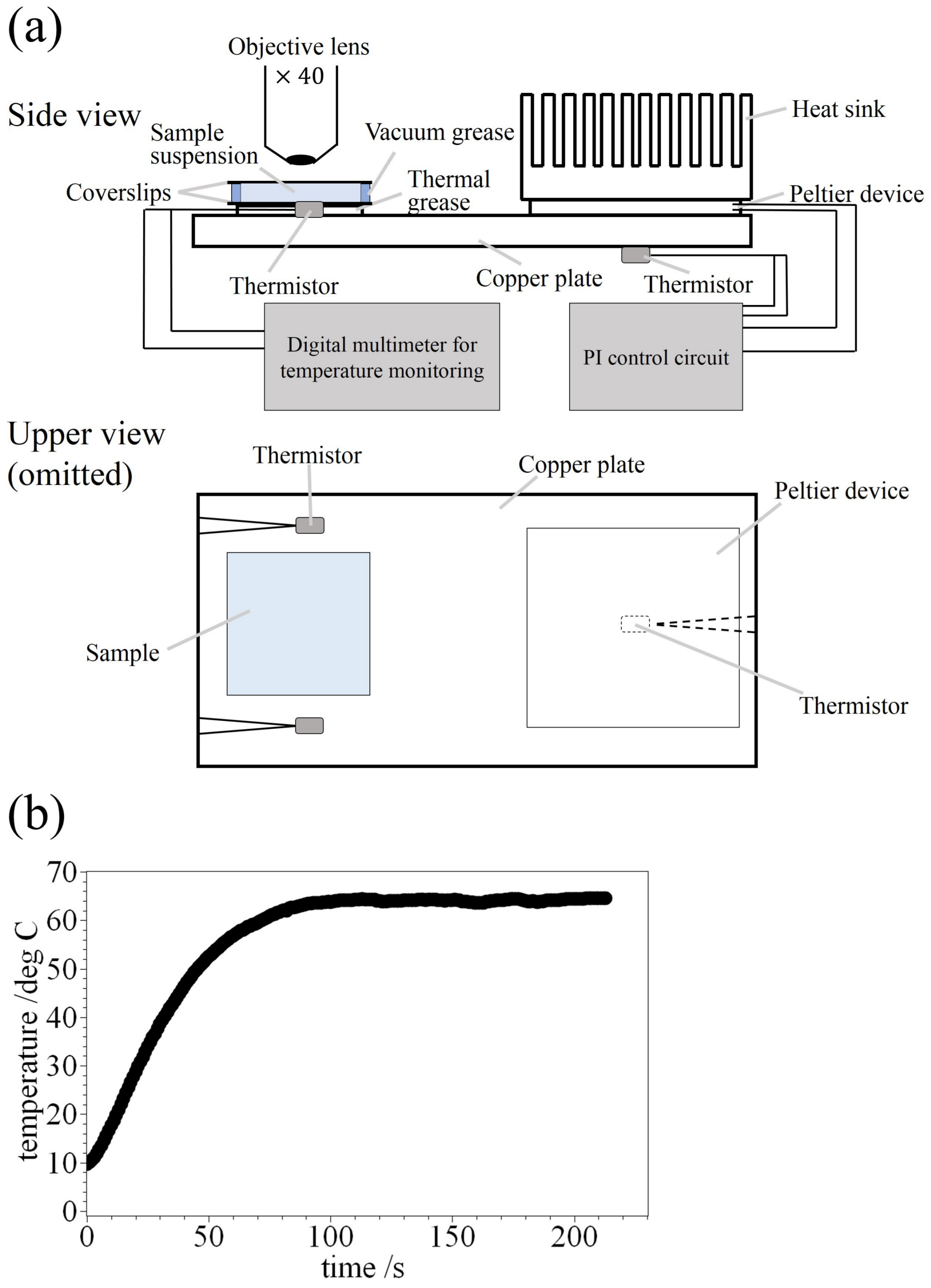 Polymers 09 00680 g001 Polymers 09 00680 g001