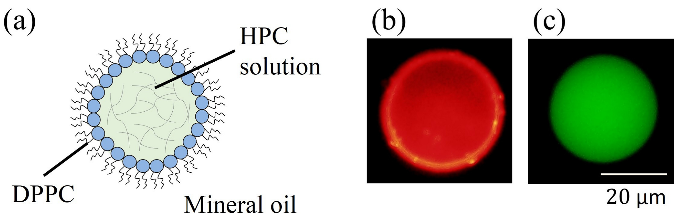 Polymers 09 00680 g002 Polymers 09 00680 g002