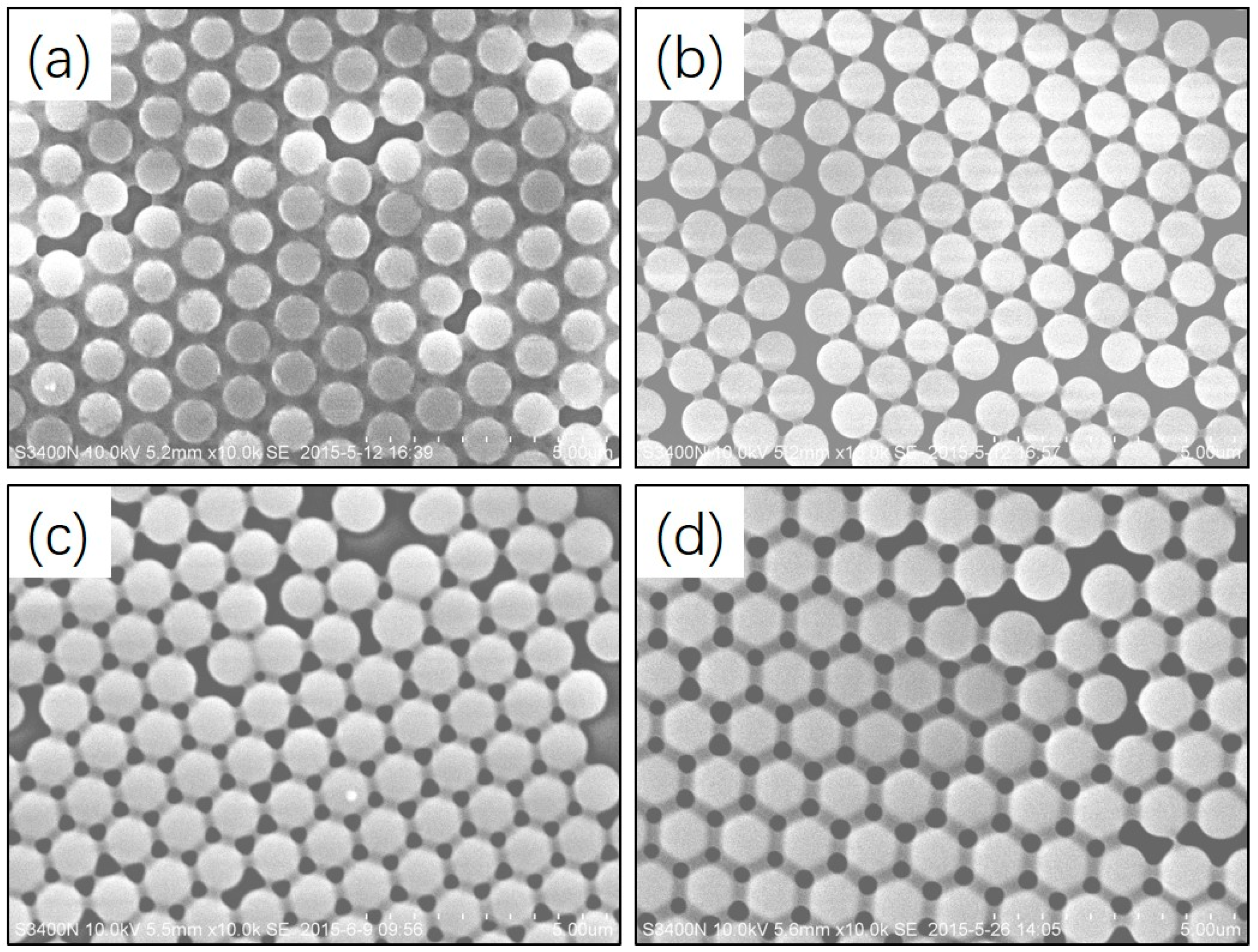 Polymers 09 00681 g001