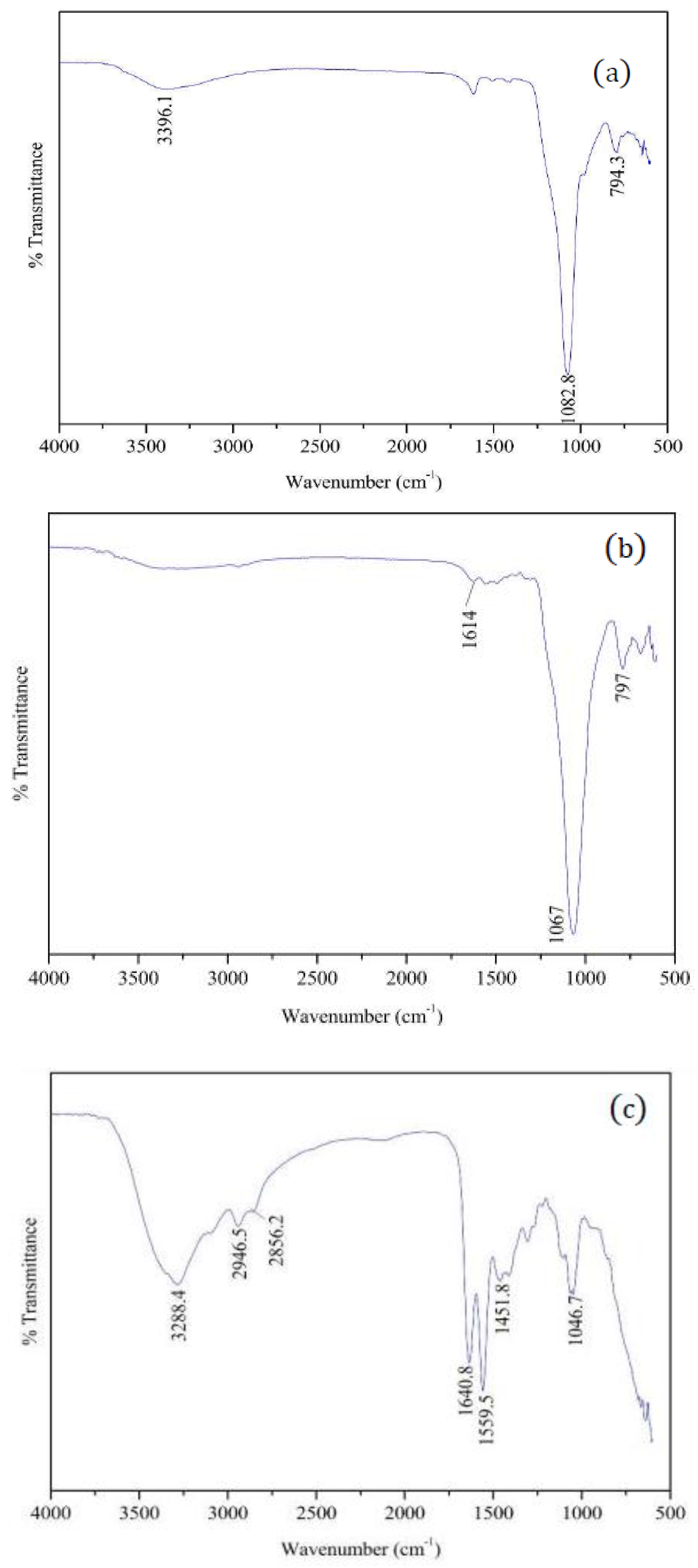 Polymers 09 00684 g001 Polymers 09 00684 g001