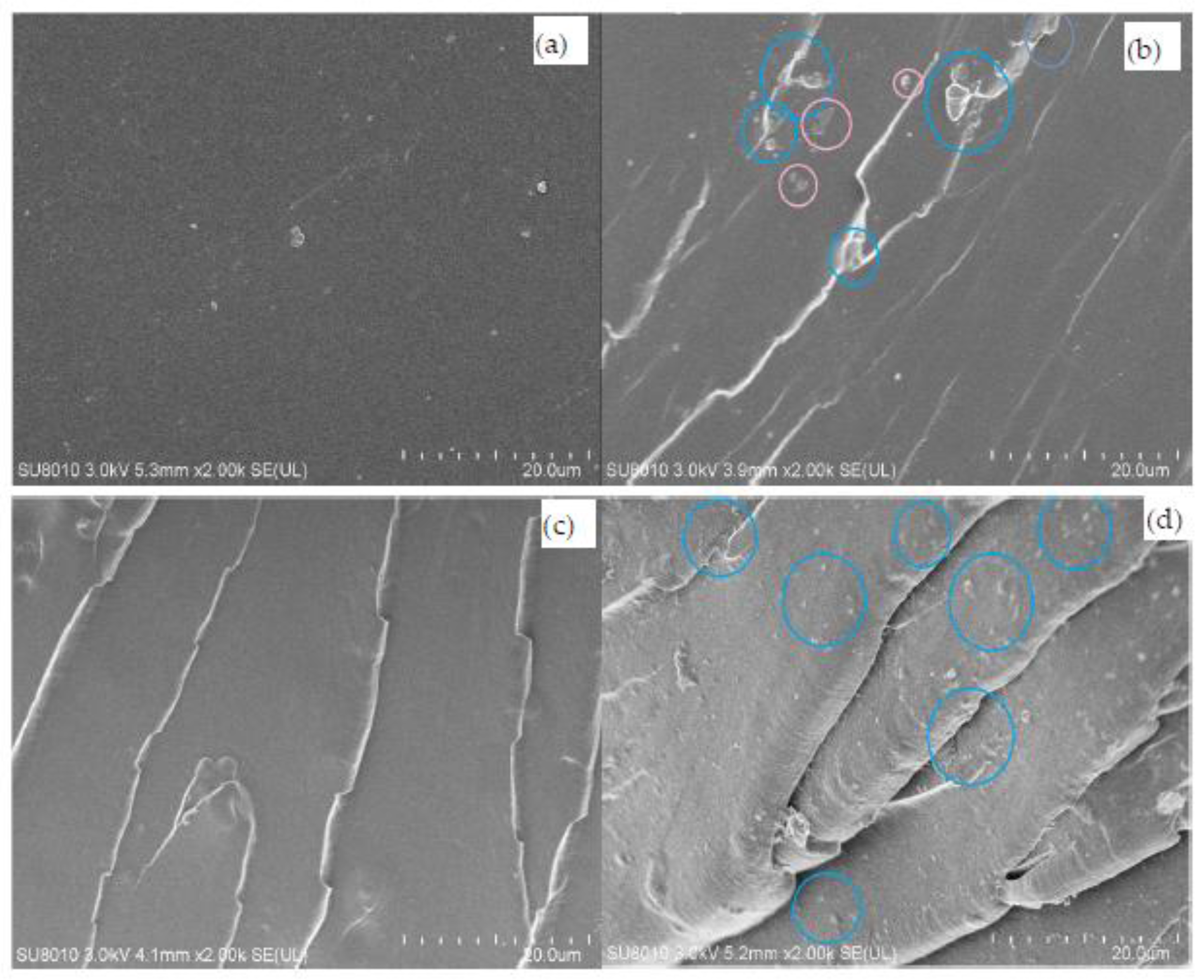 Polymers 09 00684 g009 Polymers 09 00684 g009