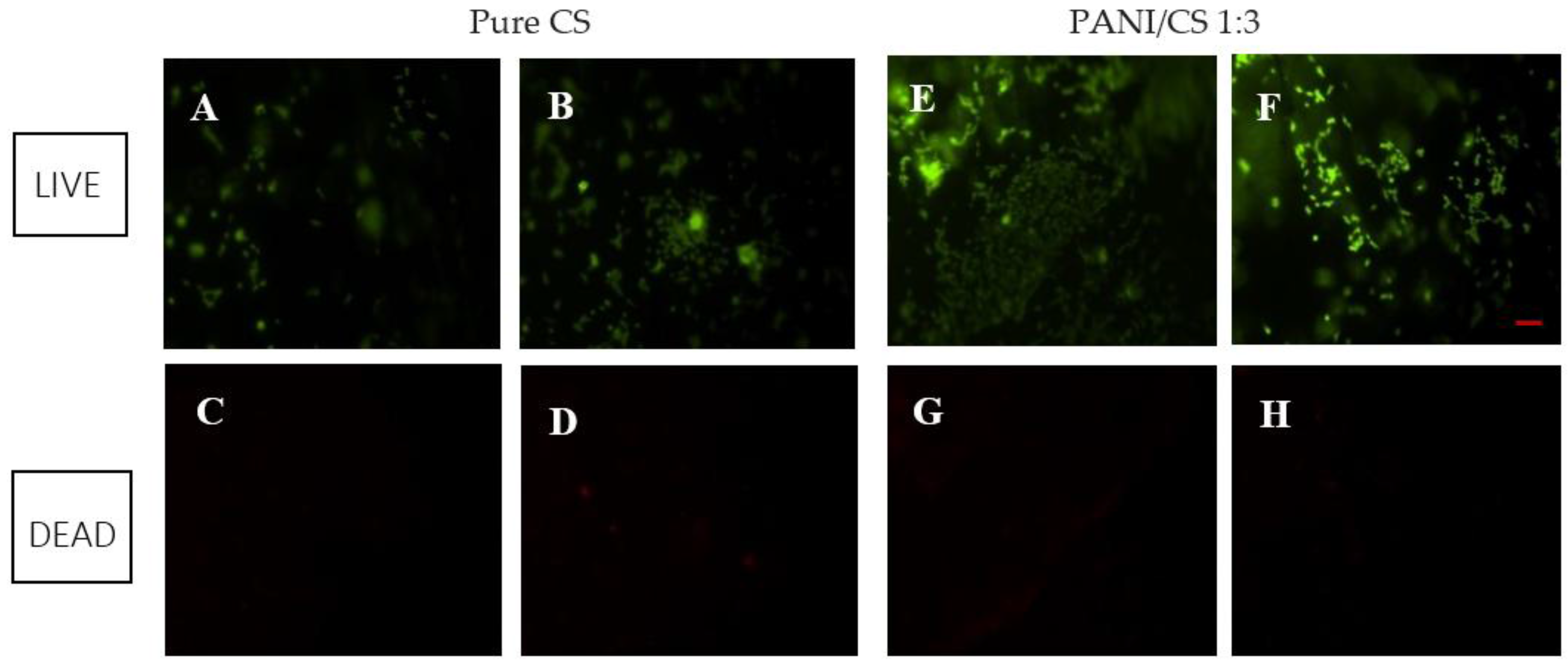 Polymers 09 00687 g004 Polymers 09 00687 g004