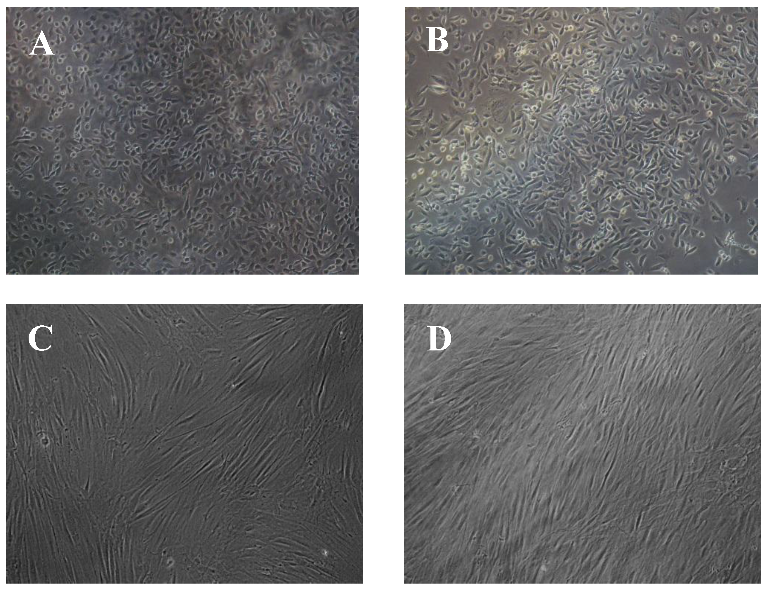Polymers 09 00687 g006 Polymers 09 00687 g006