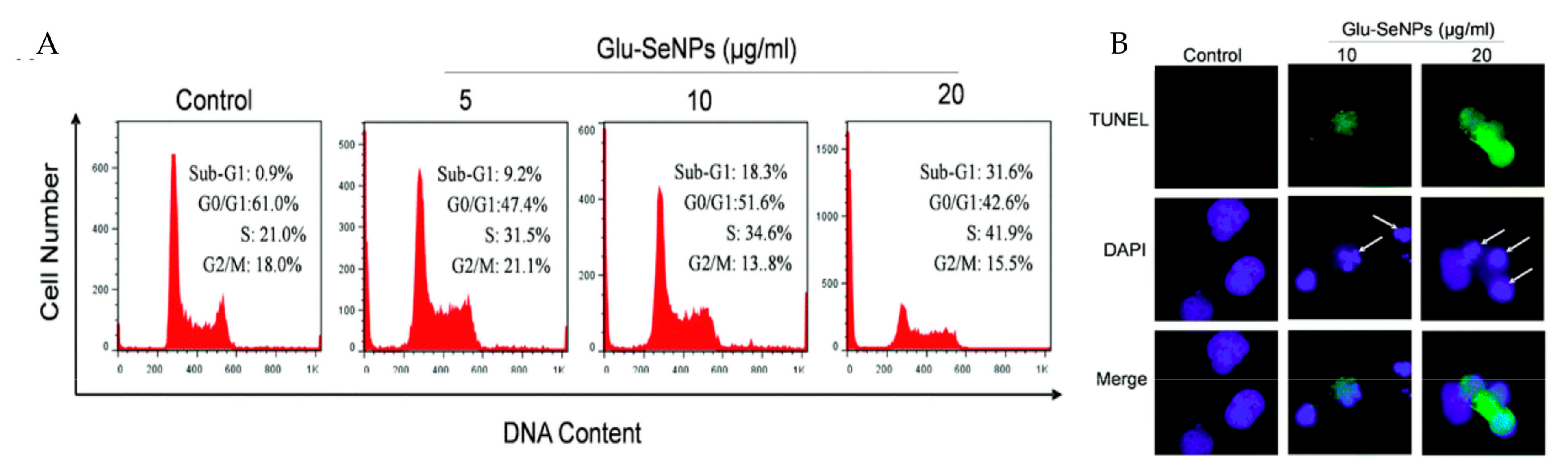 Polymers 09 00689 g005