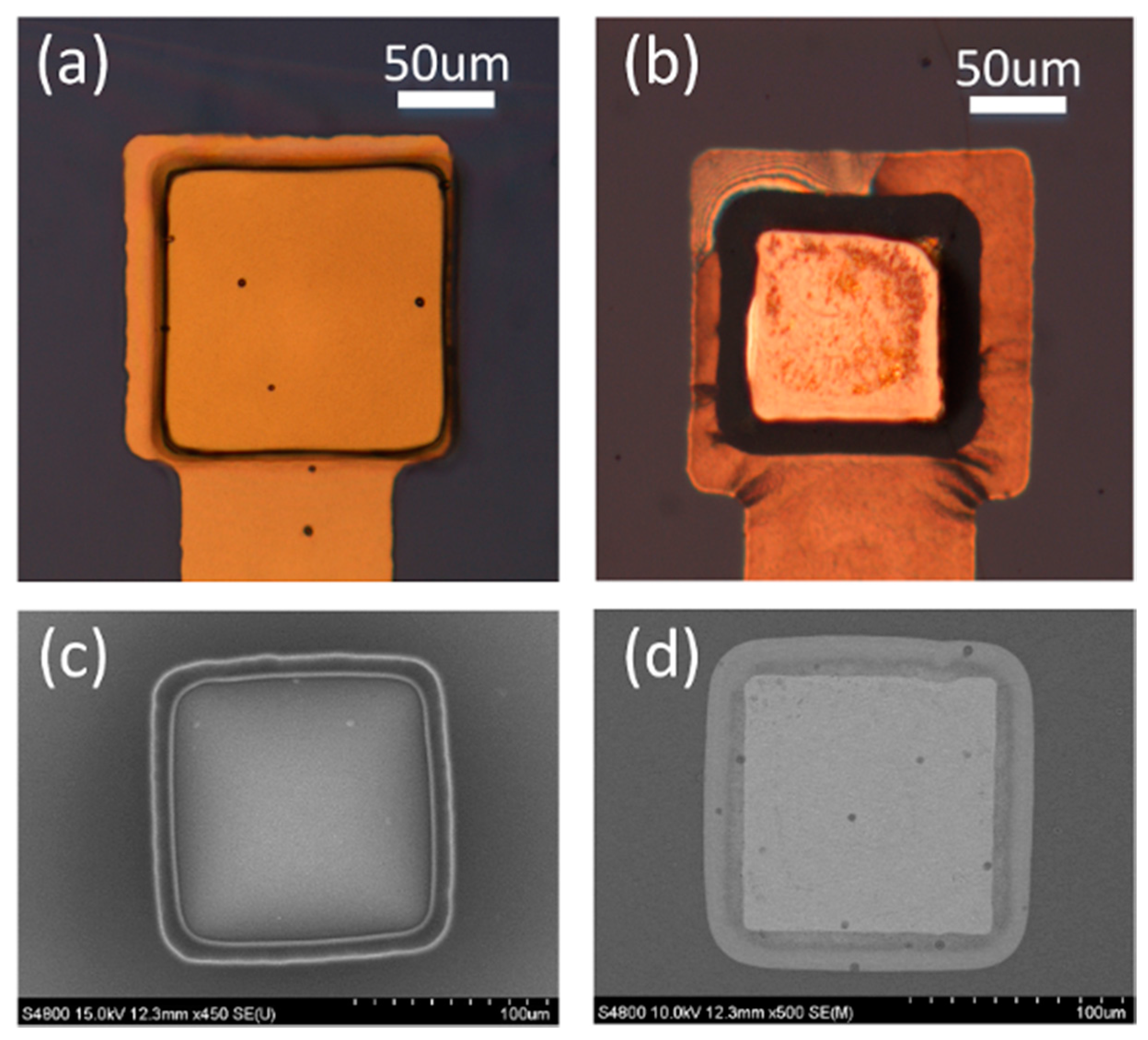 Polymers 09 00690 g007