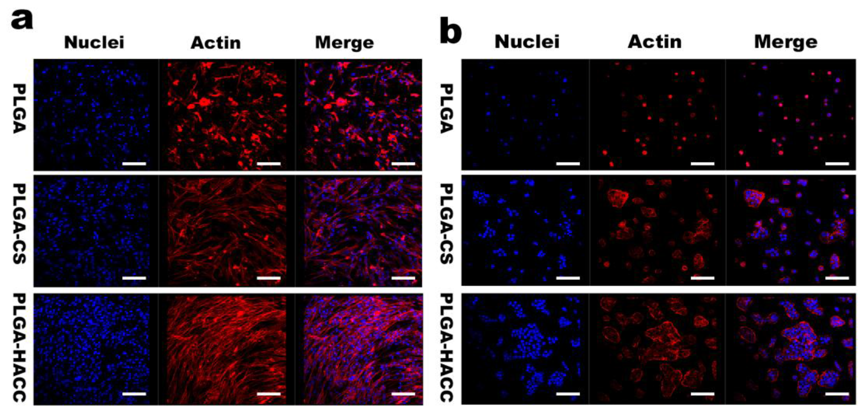 Polymers 09 00697 g004