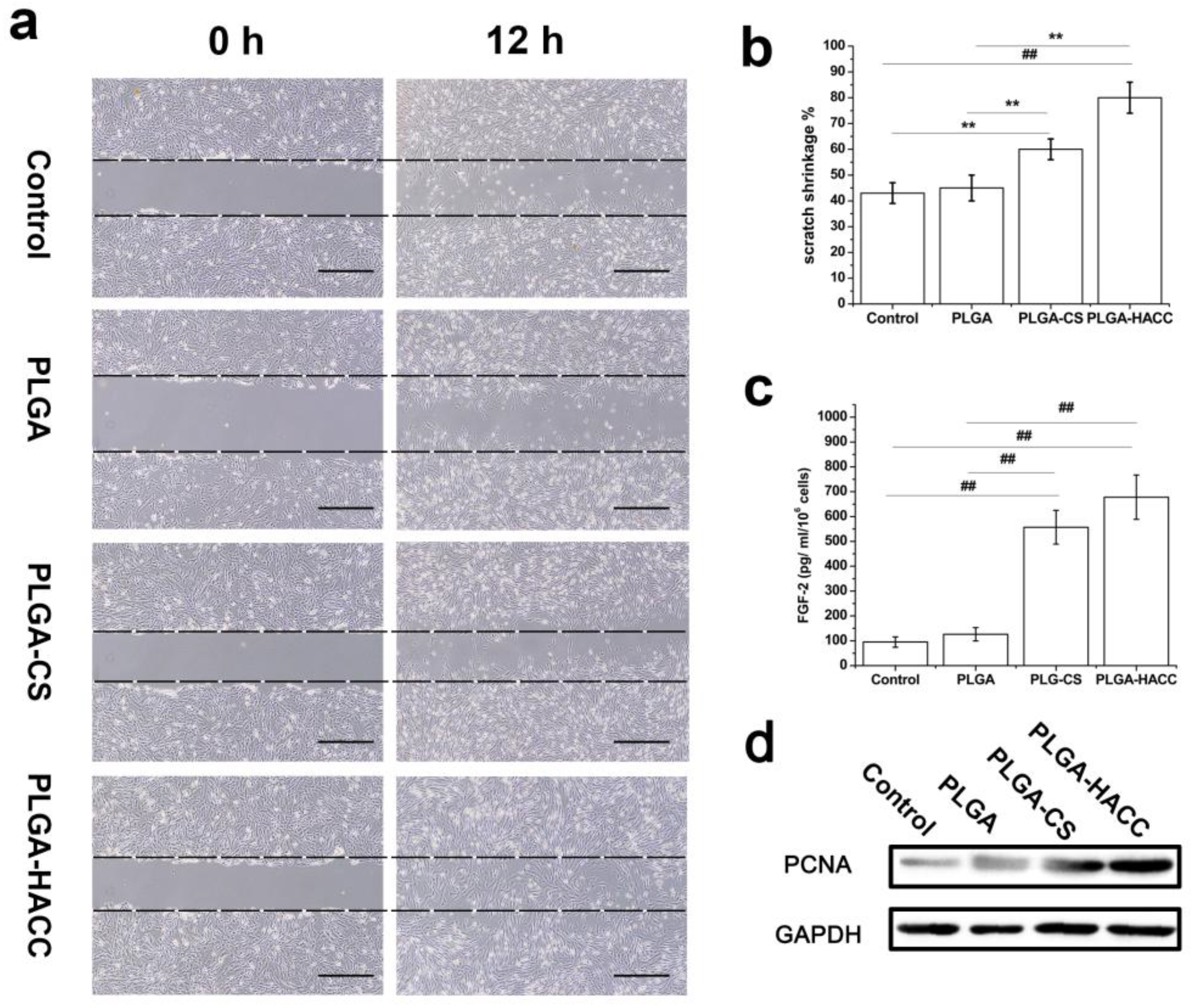 Polymers 09 00697 g005