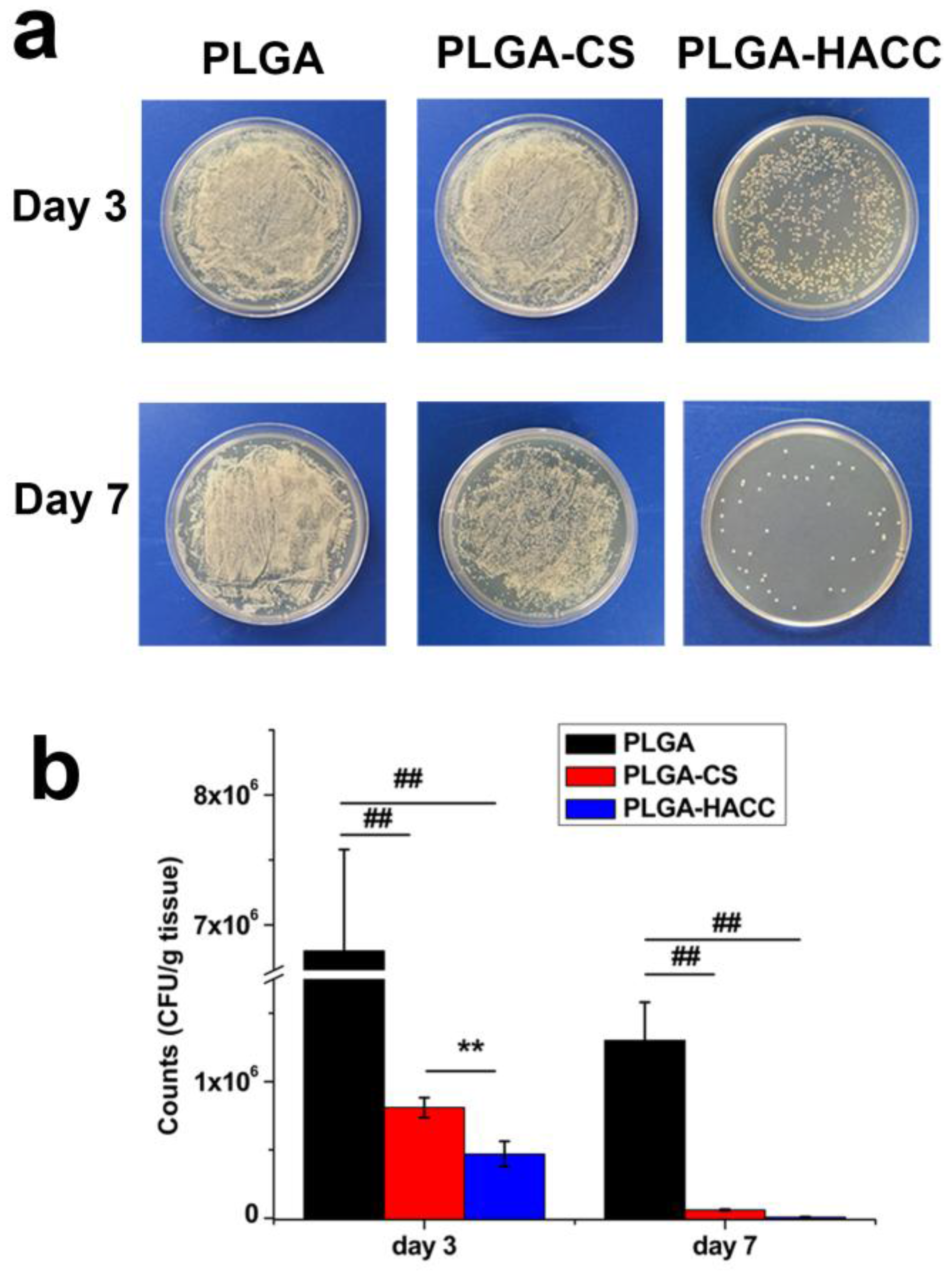 Polymers 09 00697 g008