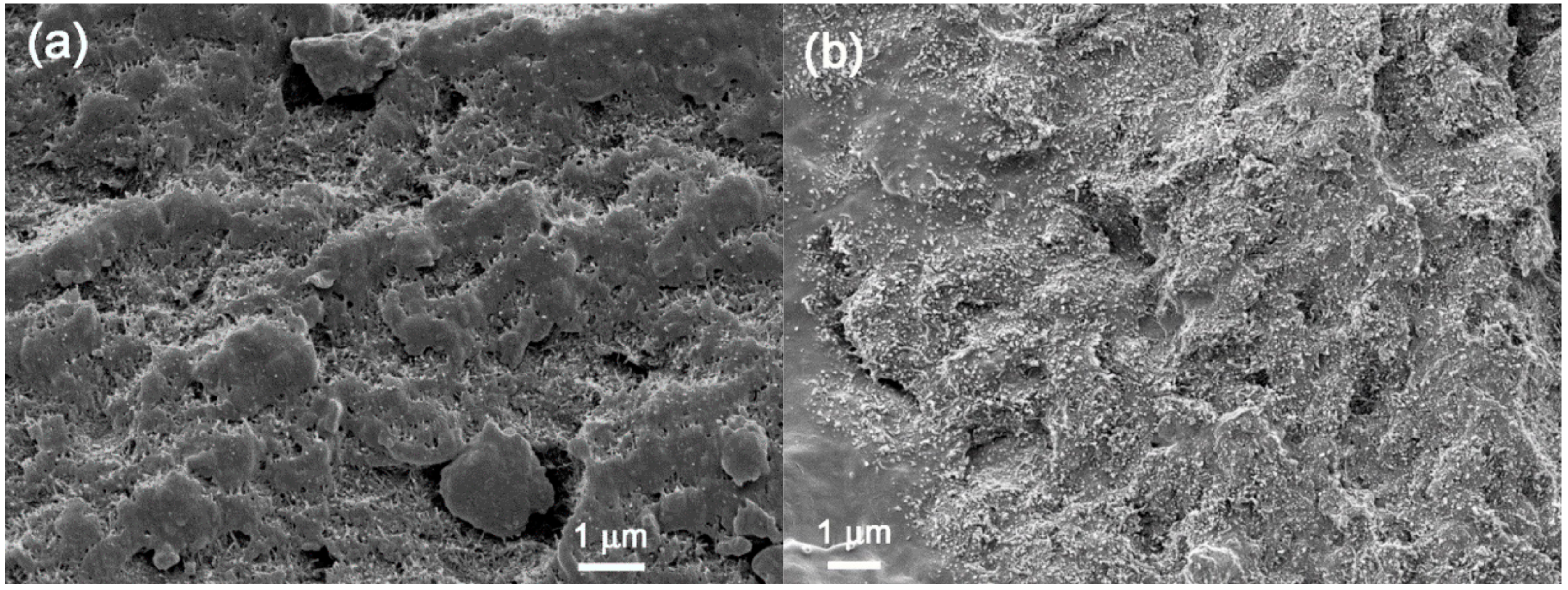 Polymers 09 00709 g007a 550