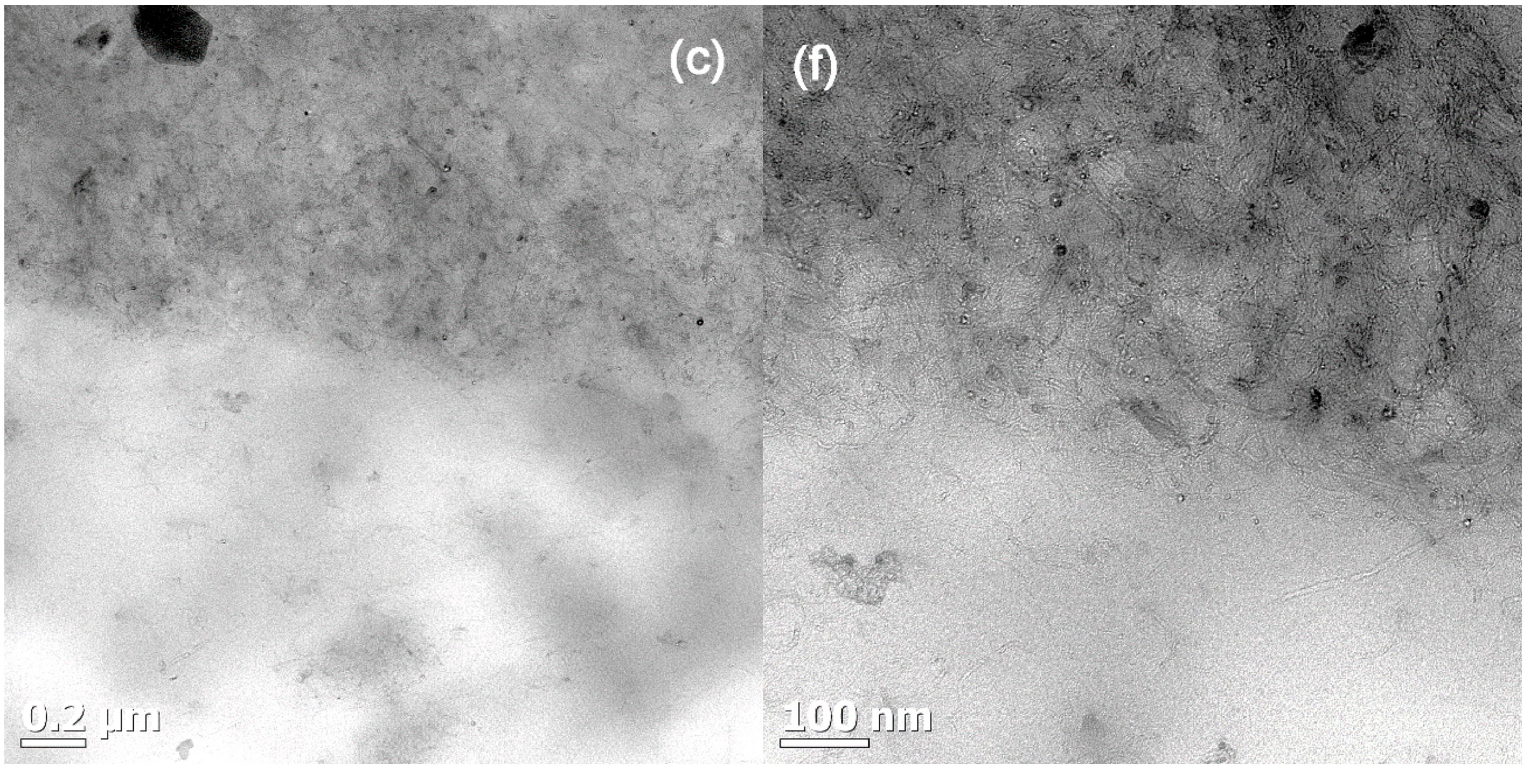 Polymers 09 00709 g008b 550