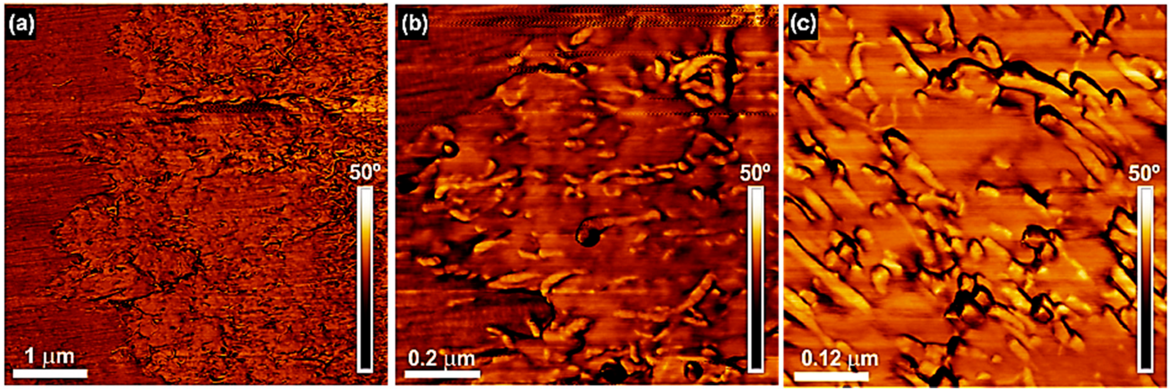 Polymers 09 00709 g009 550