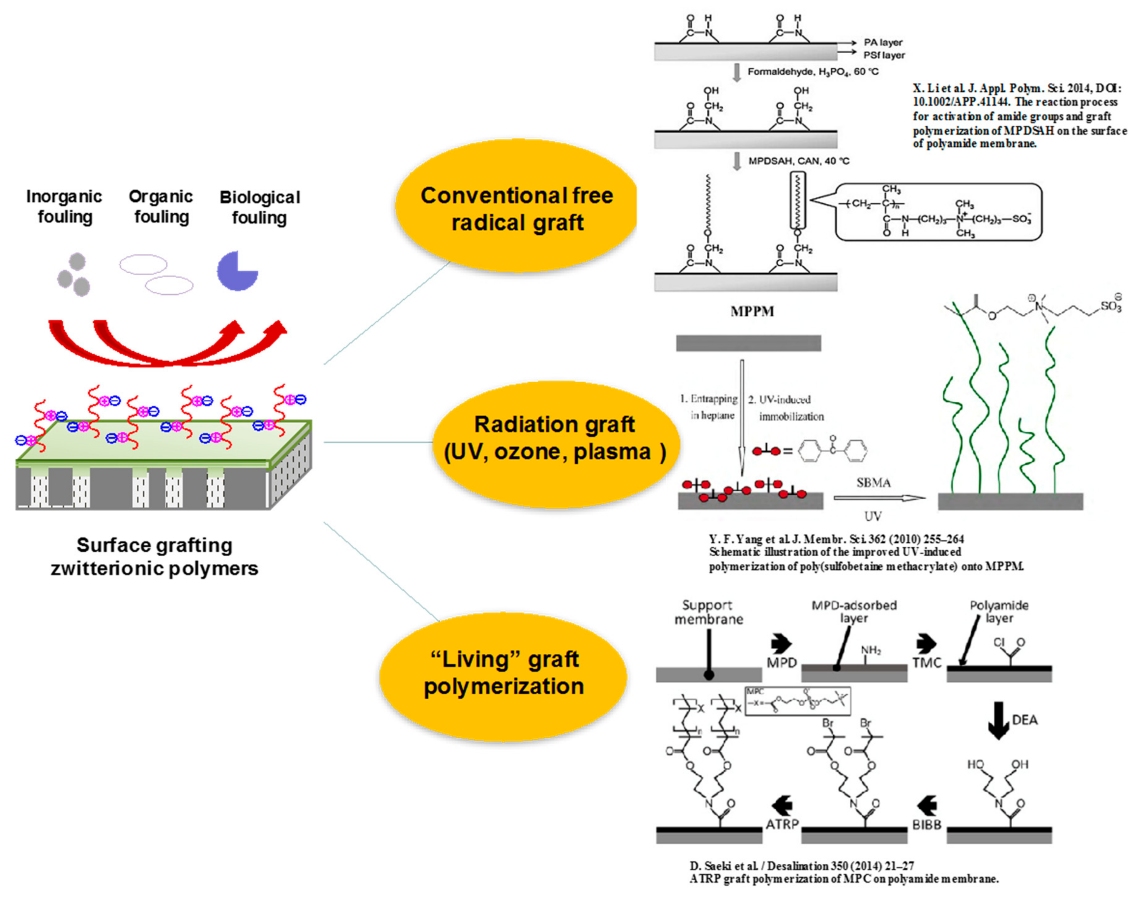 Polymers 09 00715 g016 550