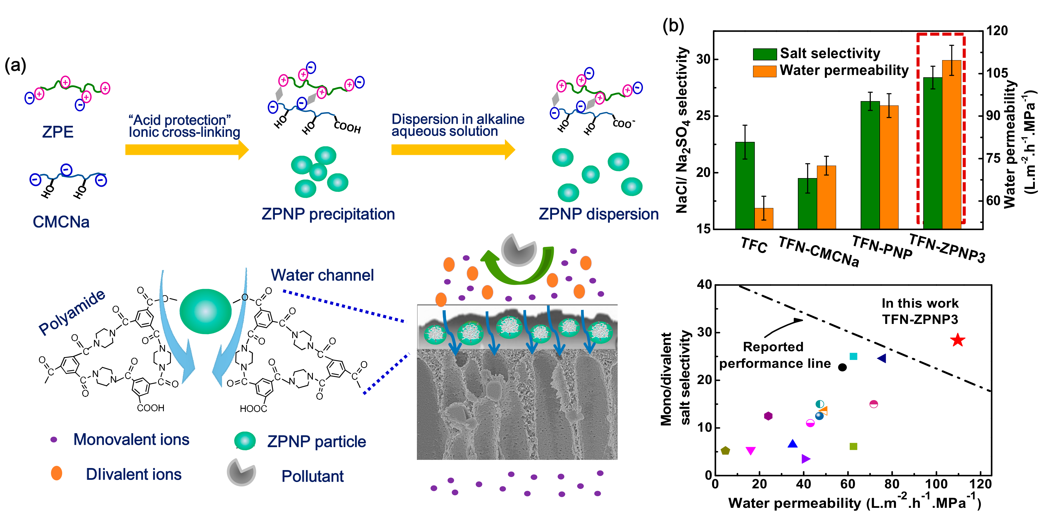 Polymers 09 00715 g018 550