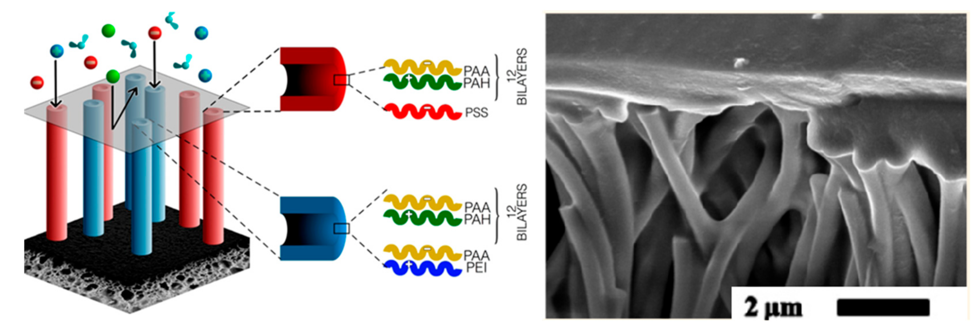 Polymers 09 00715 g024 550
