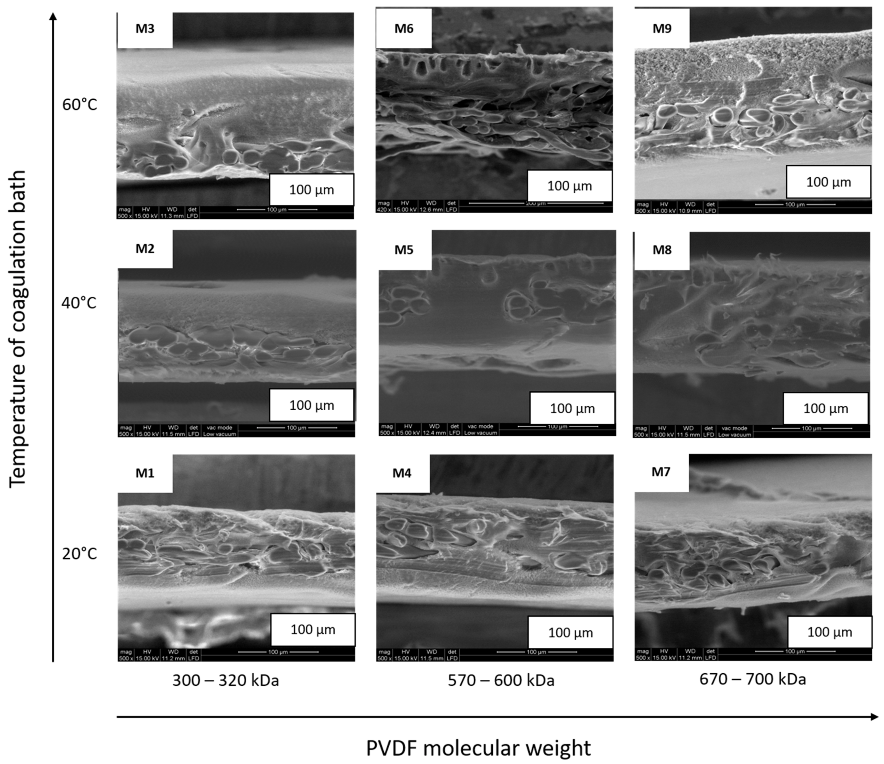 Polymers 09 00718 g005 550