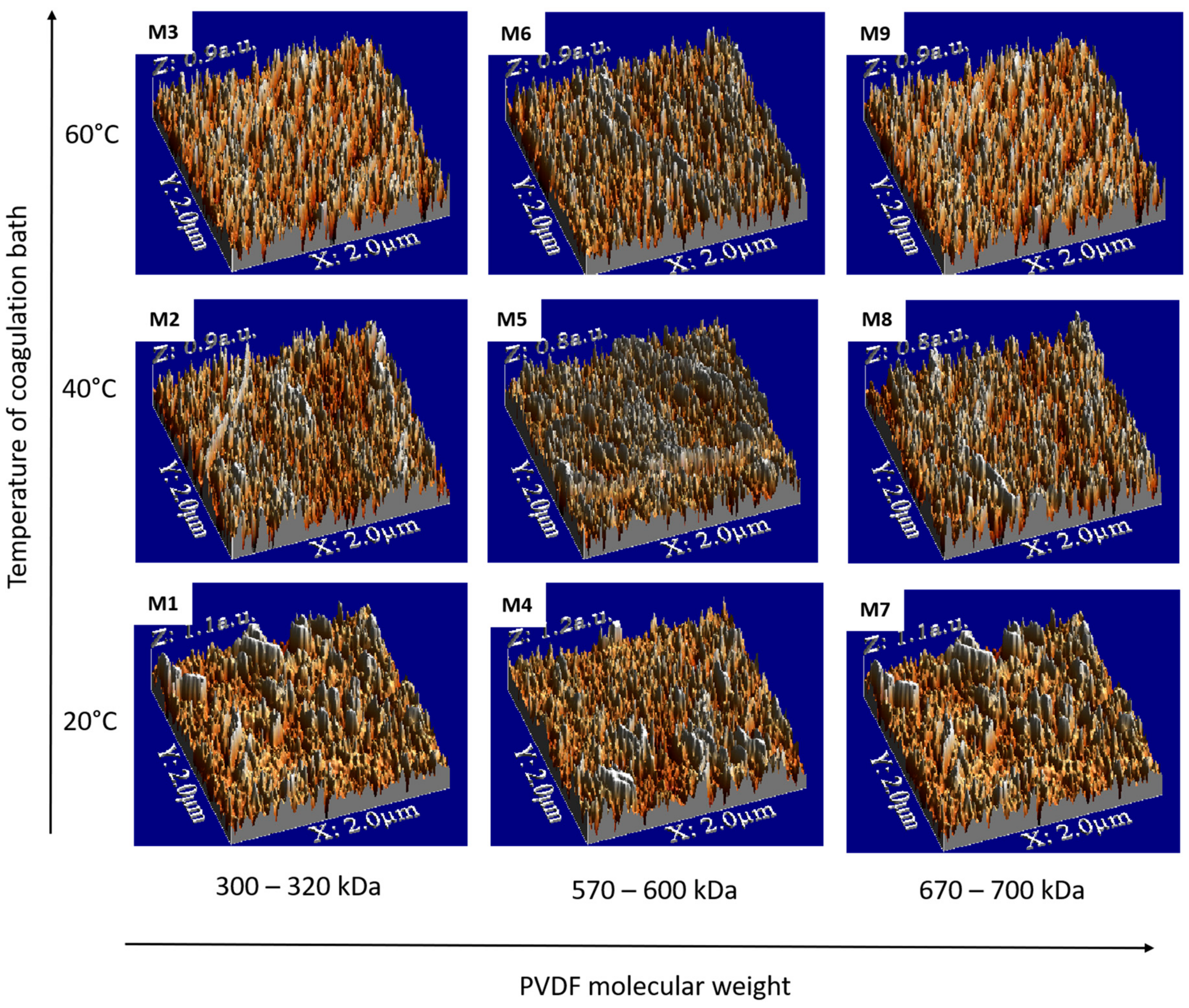 Polymers 09 00718 g006 550