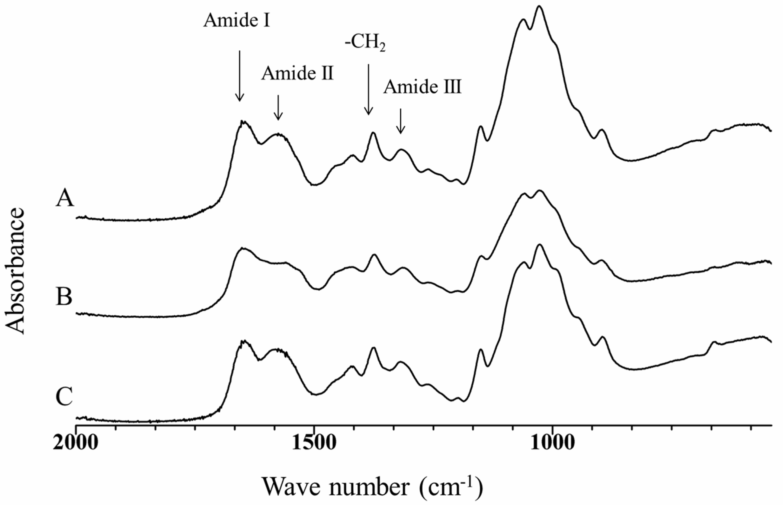 Polymers 09 00722 g002 Polymers 09 00722 g002