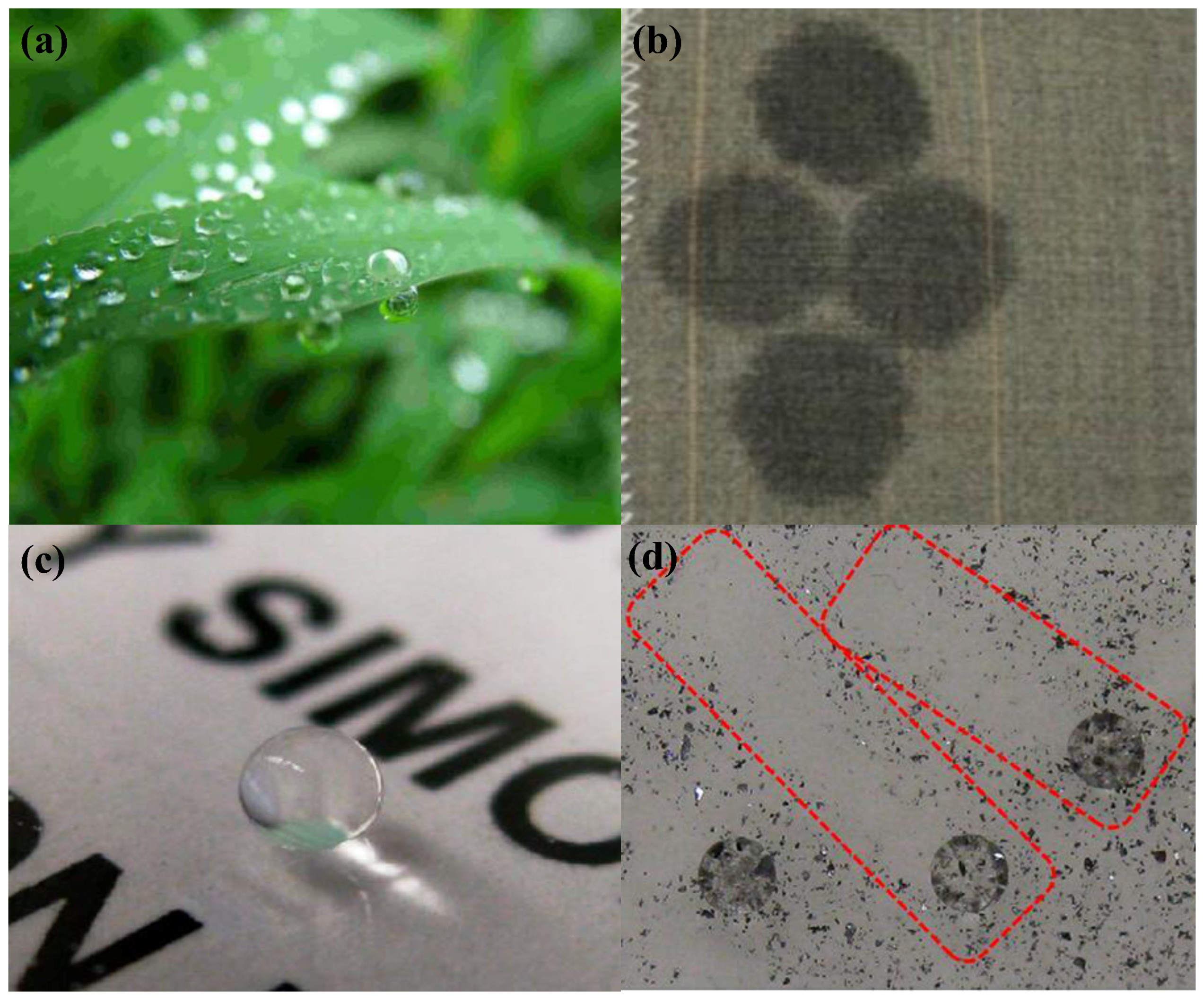 Polymers 09 00725 g001