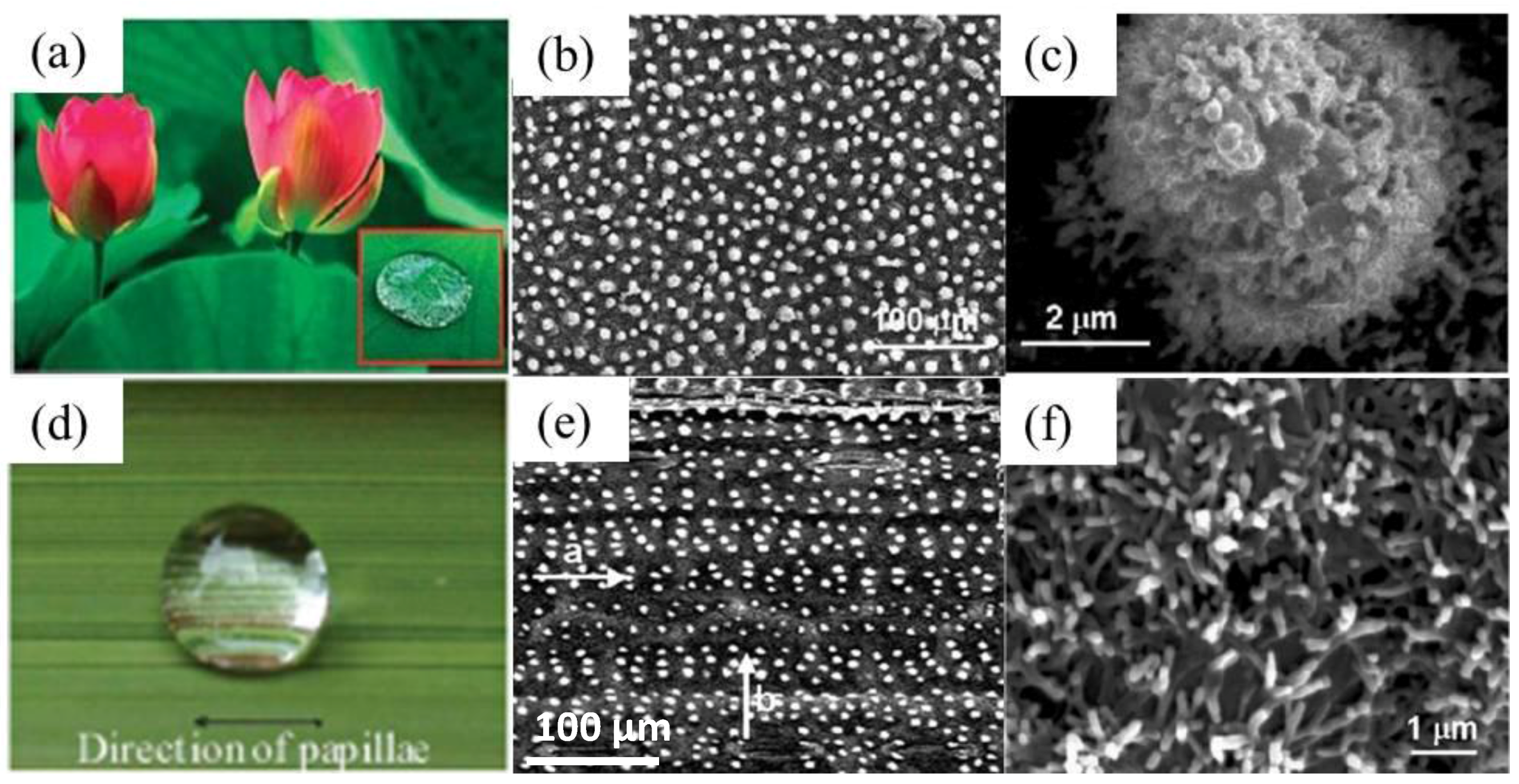 Polymers 09 00725 g006
