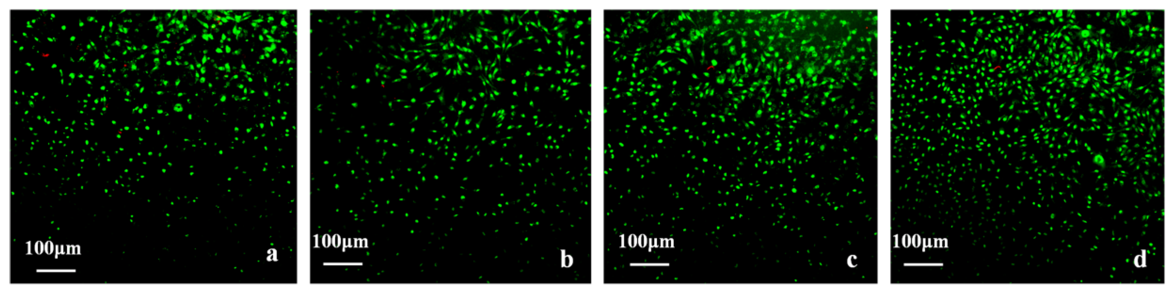 Polymers 09 00727 g011