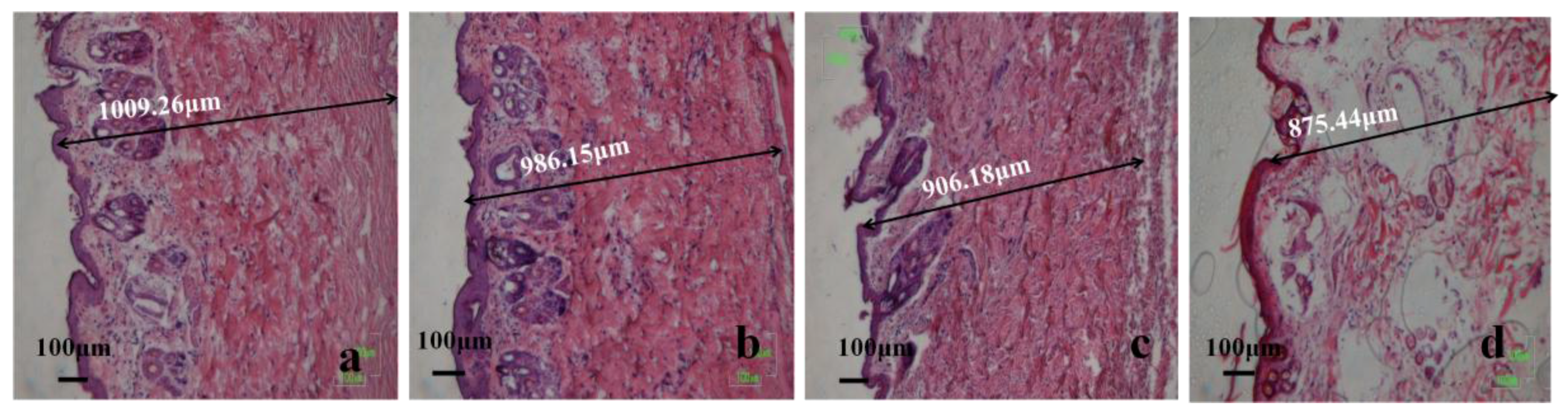 Polymers 09 00727 g021