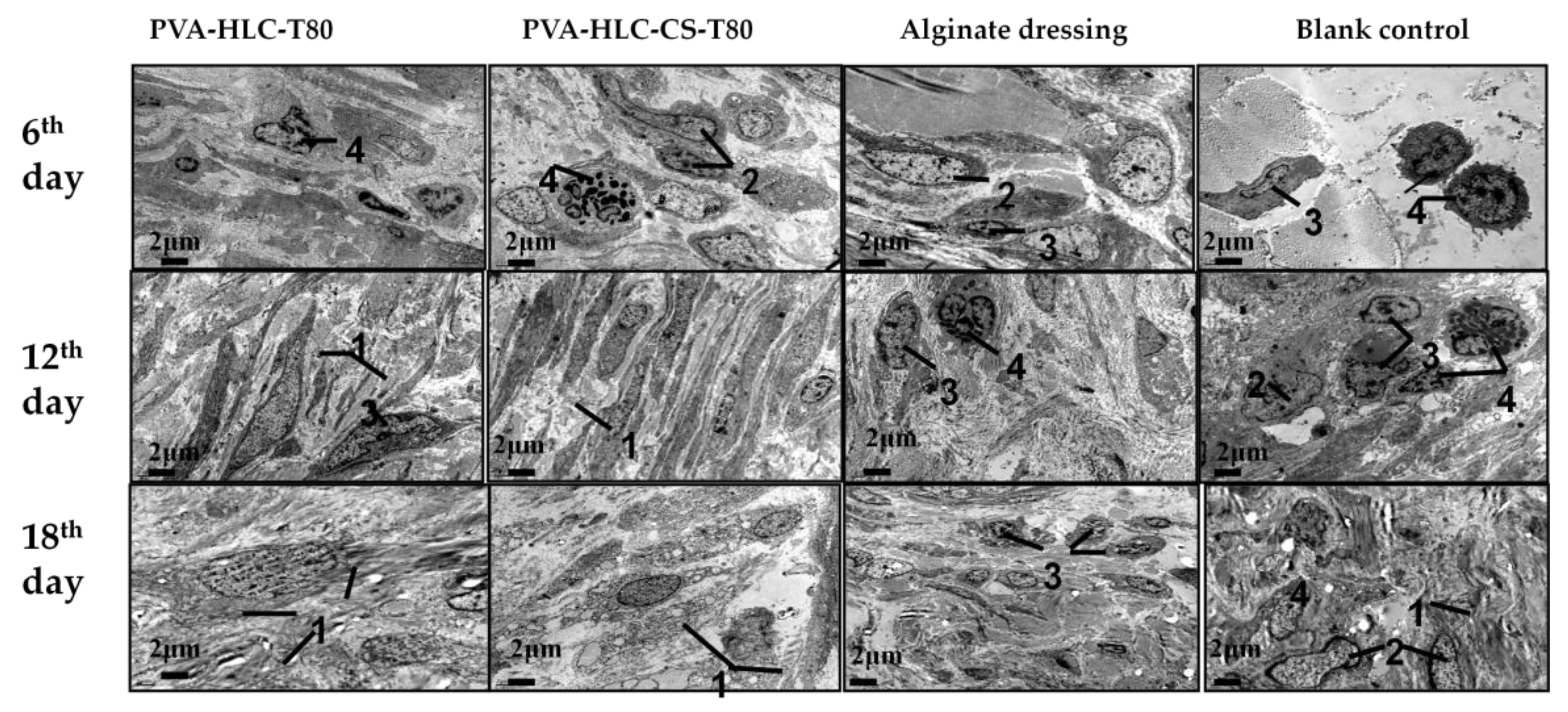 Polymers 09 00727 g022
