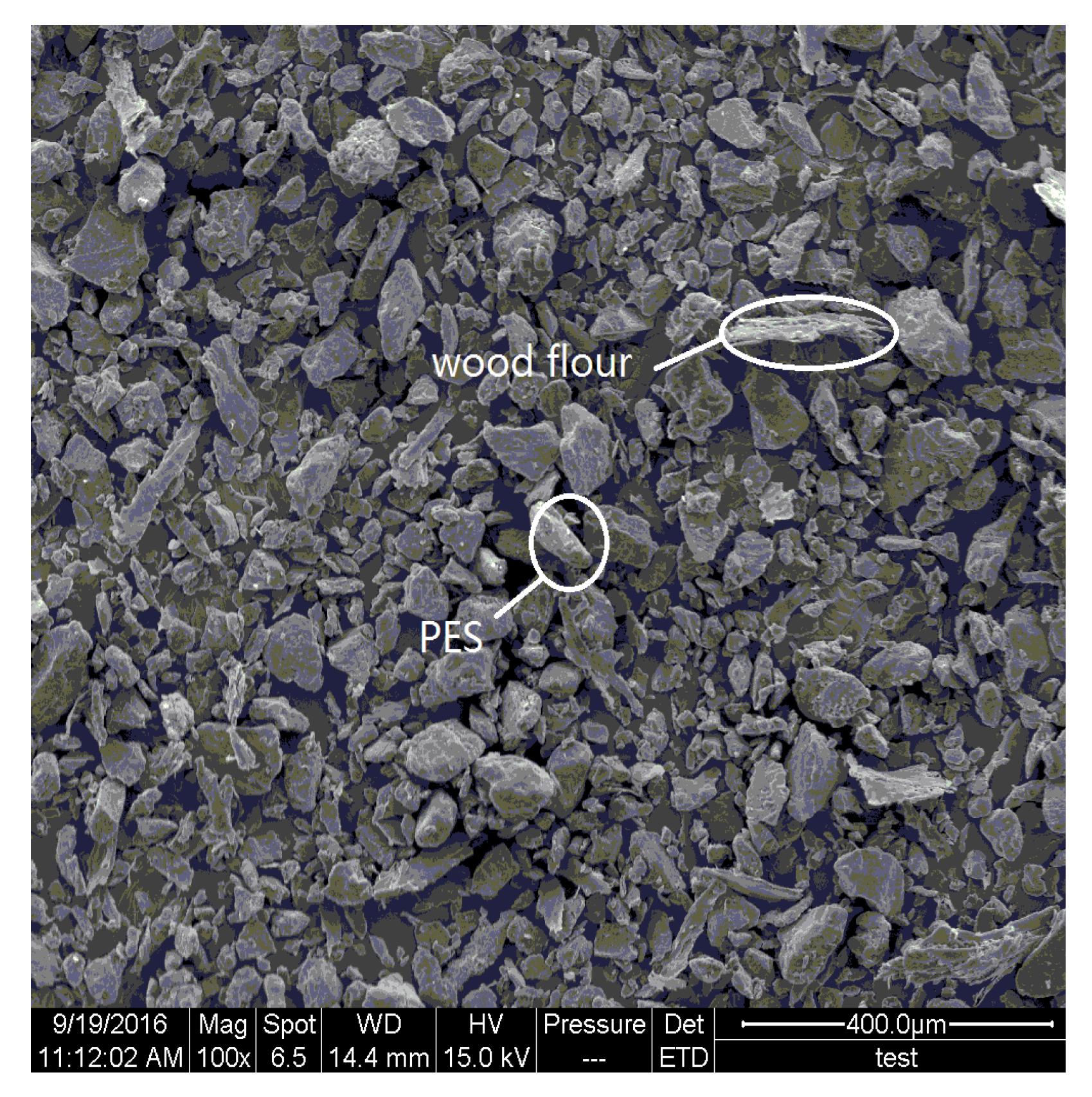 Polymers 09 00728 g002