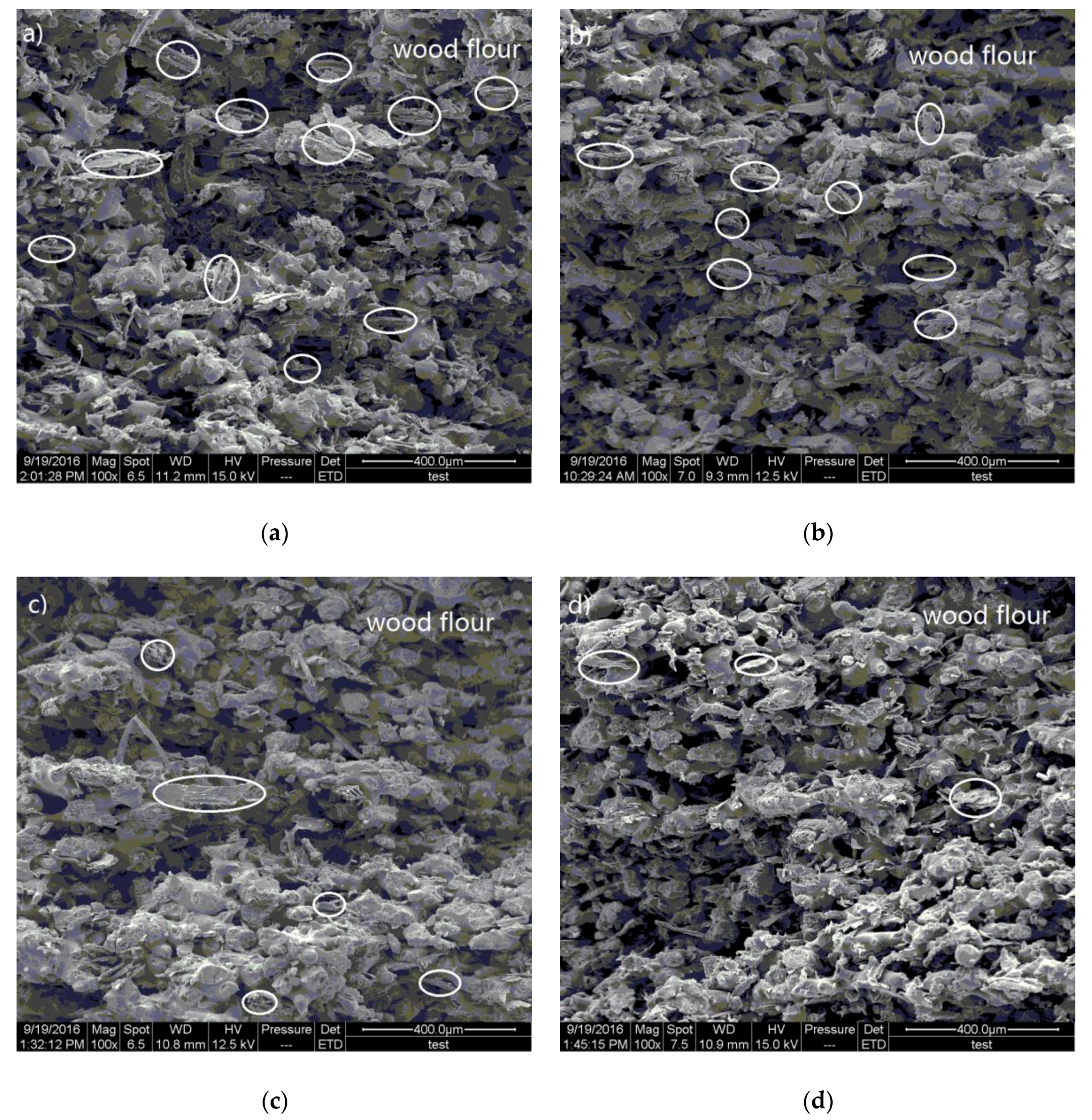 Polymers 09 00728 g006