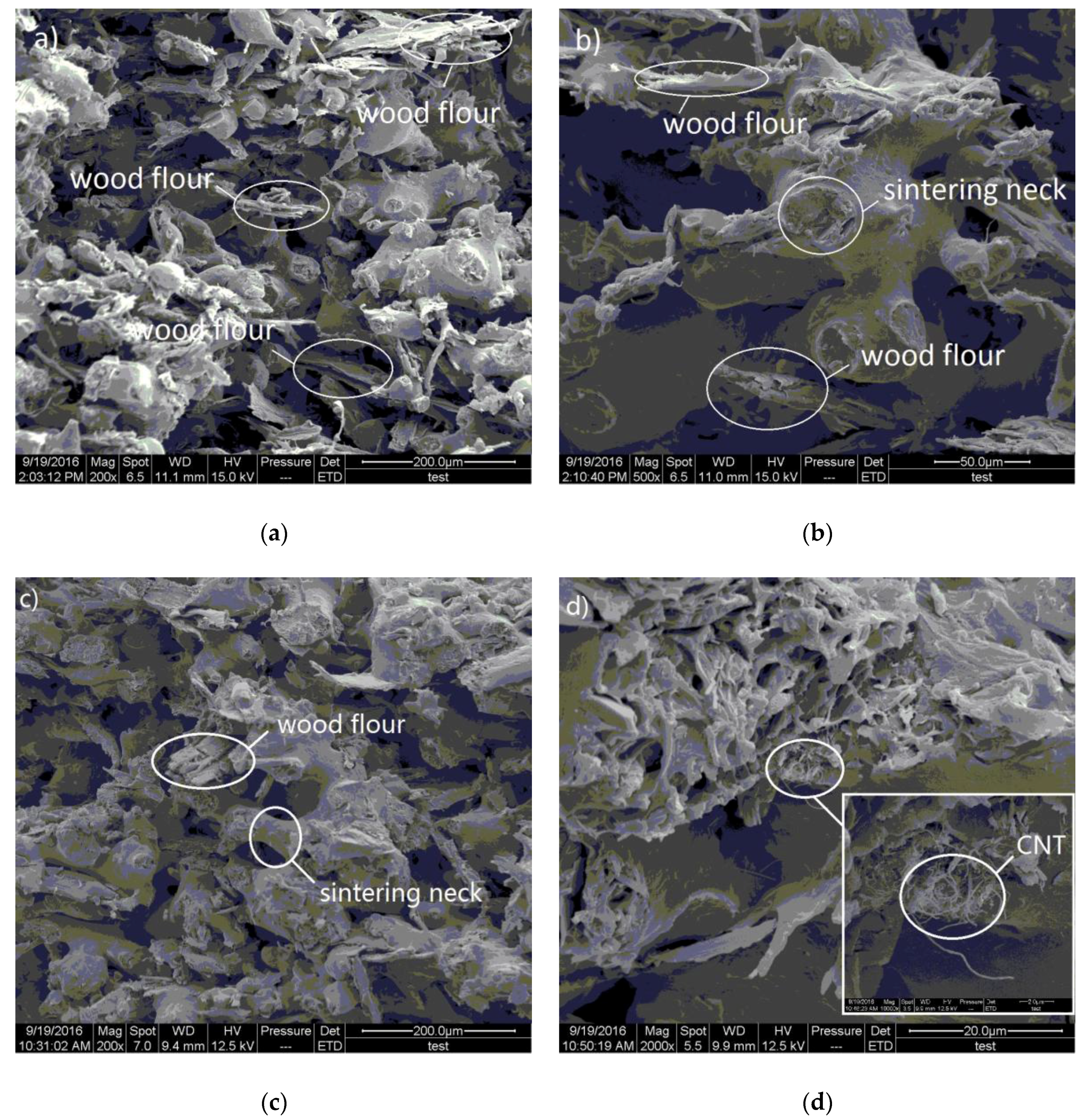 Polymers 09 00728 g007a