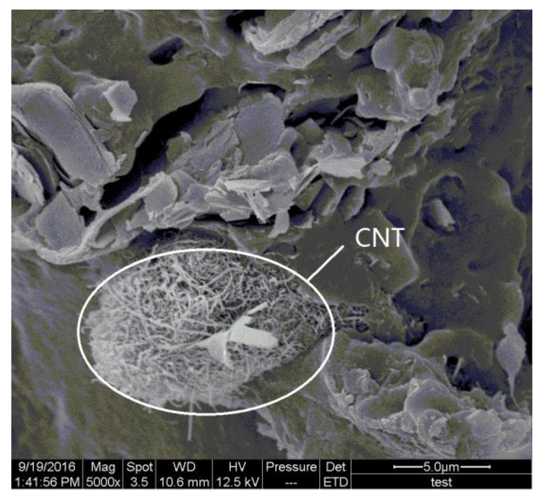 Polymers 09 00728 g009