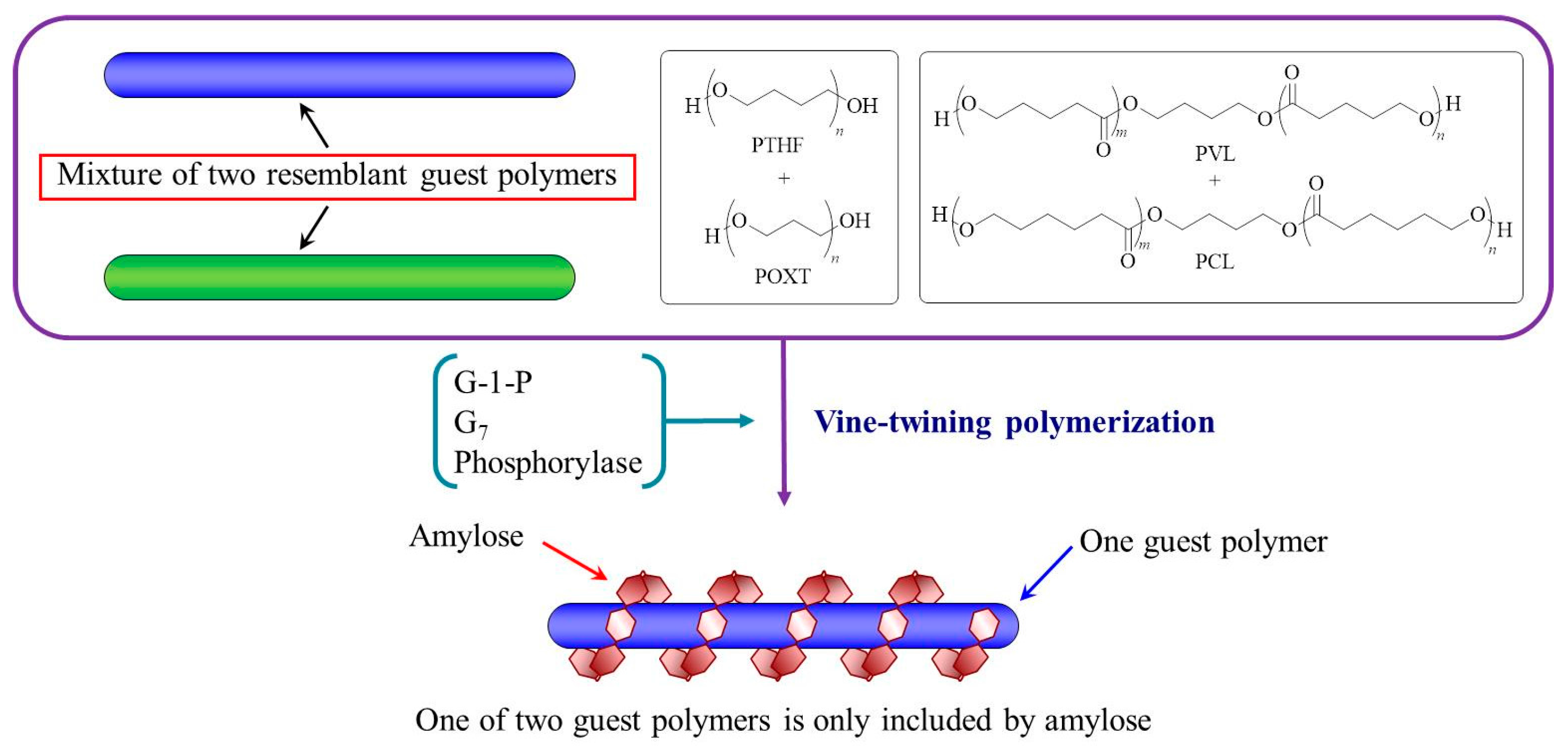 Polymers 09 00729 g004