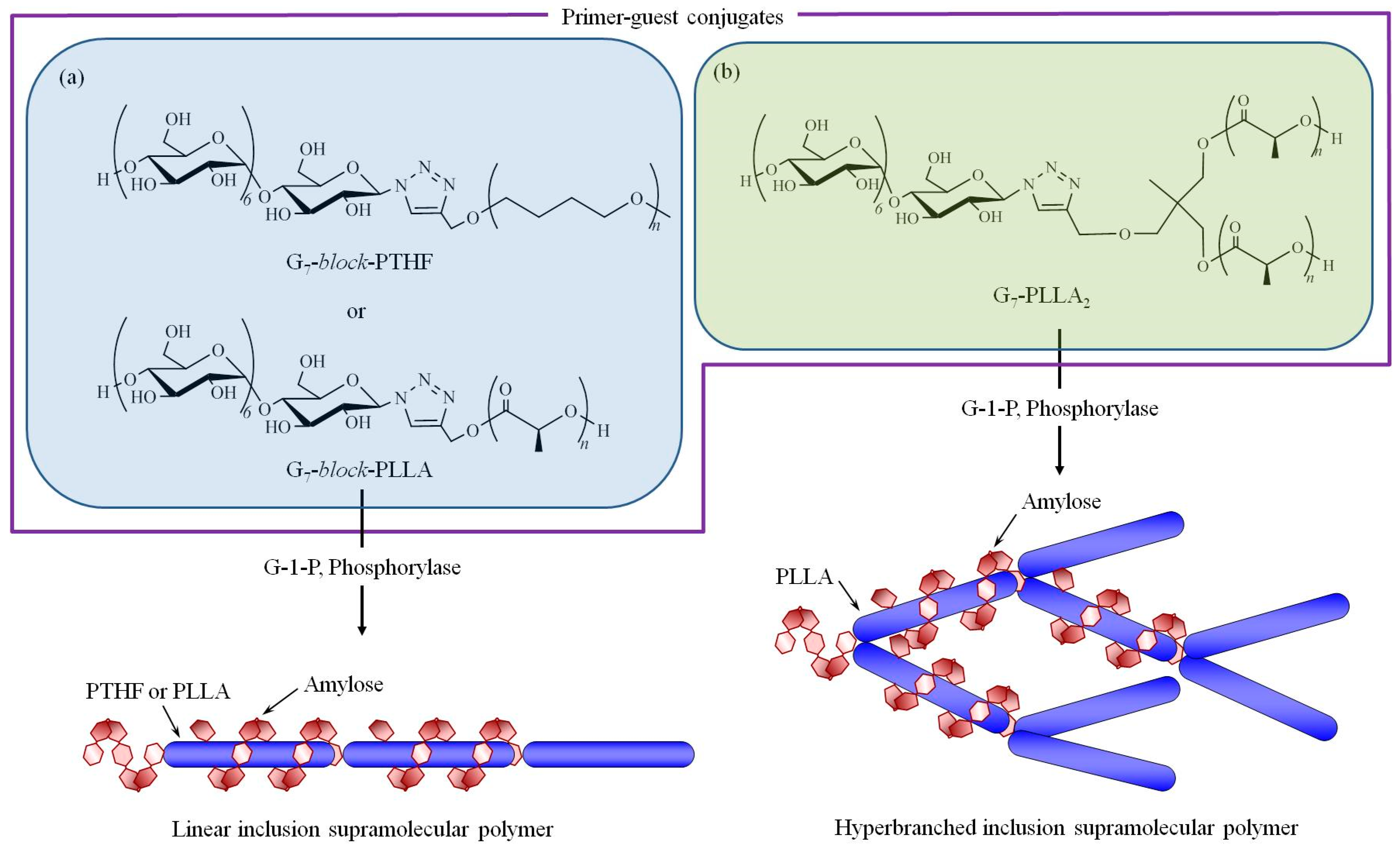 Polymers 09 00729 g007