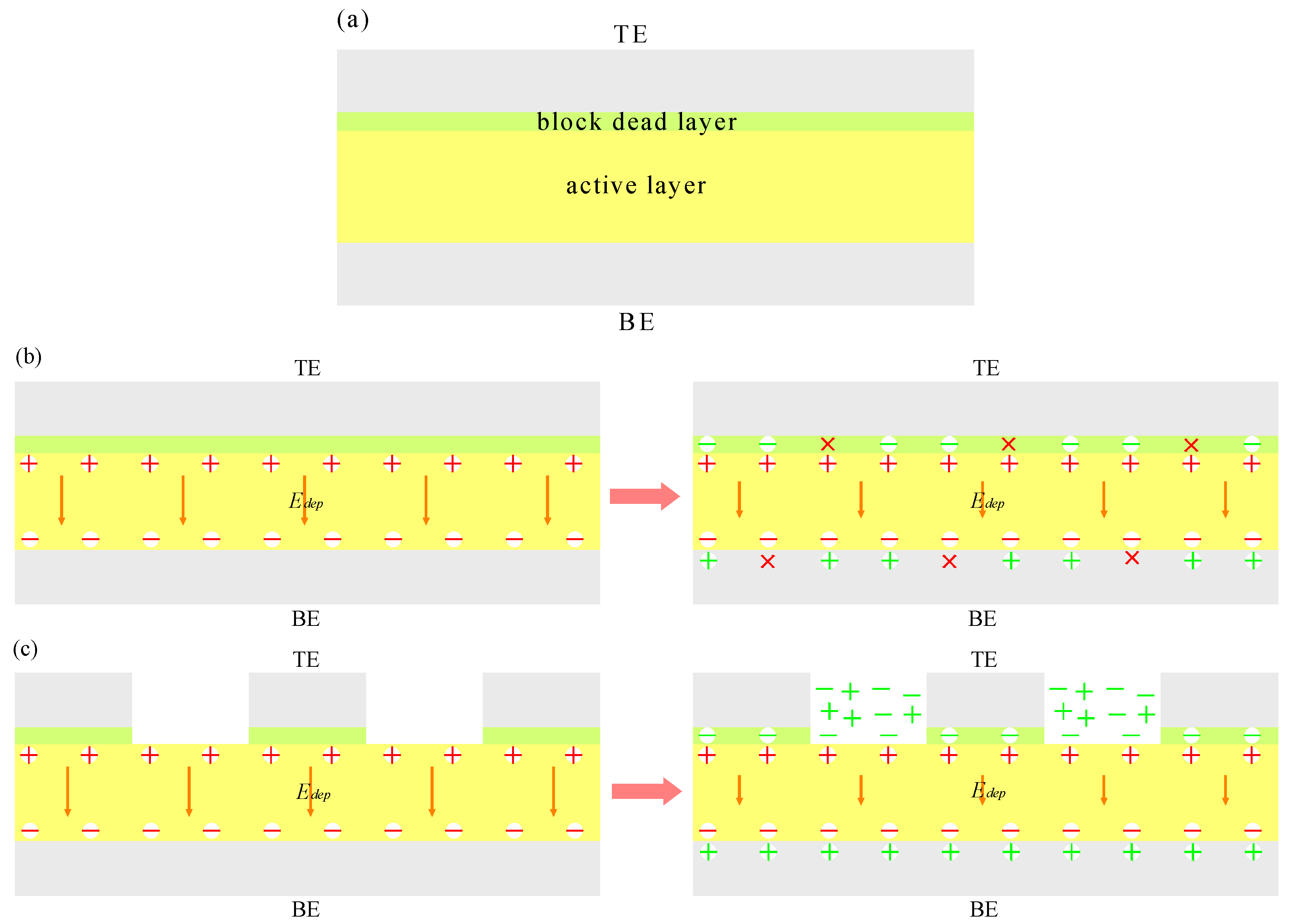 Polymers 10 00006 g004 550