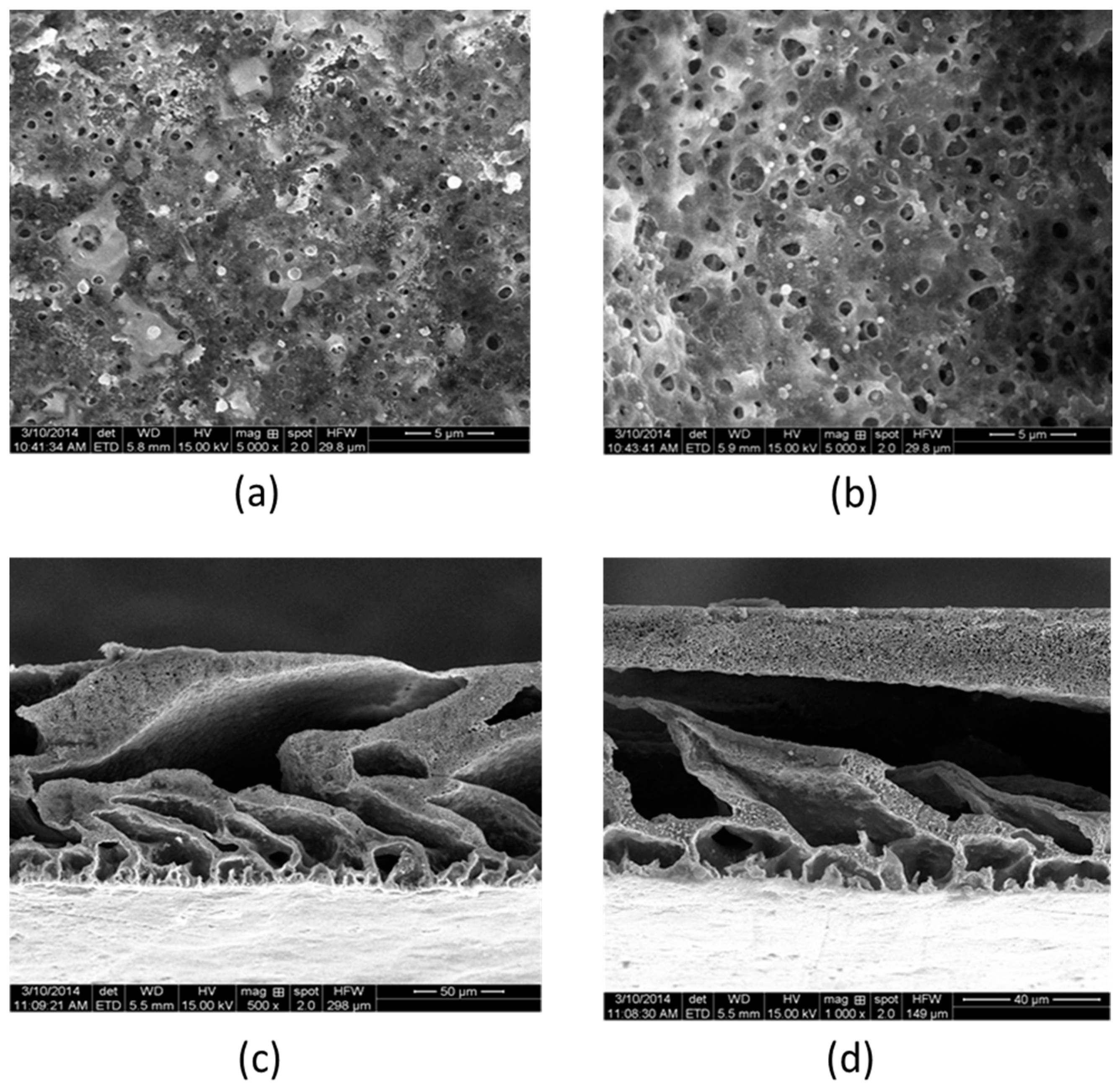 Polymers 10 00019 g008