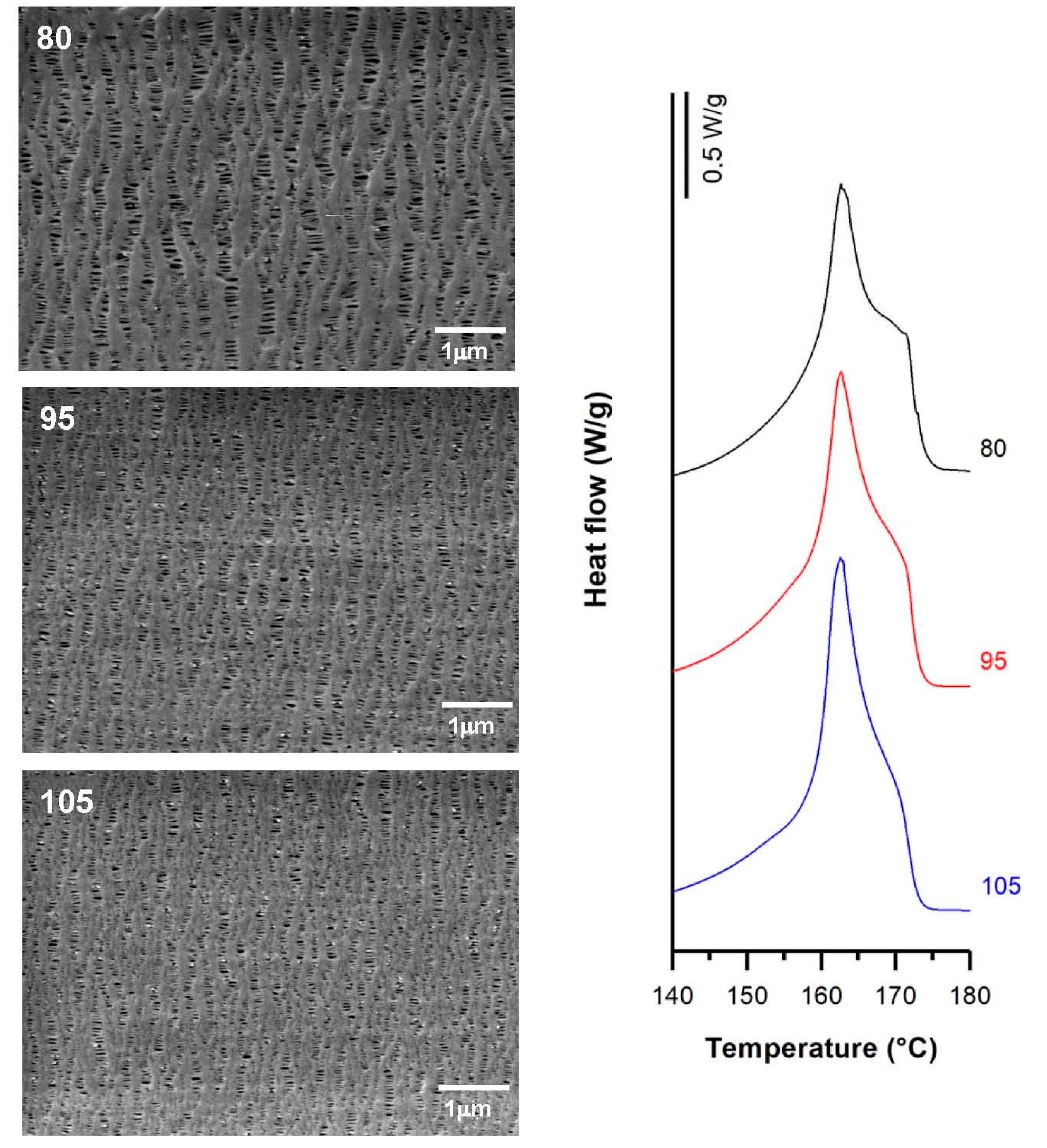 Polymers 10 00033 g006