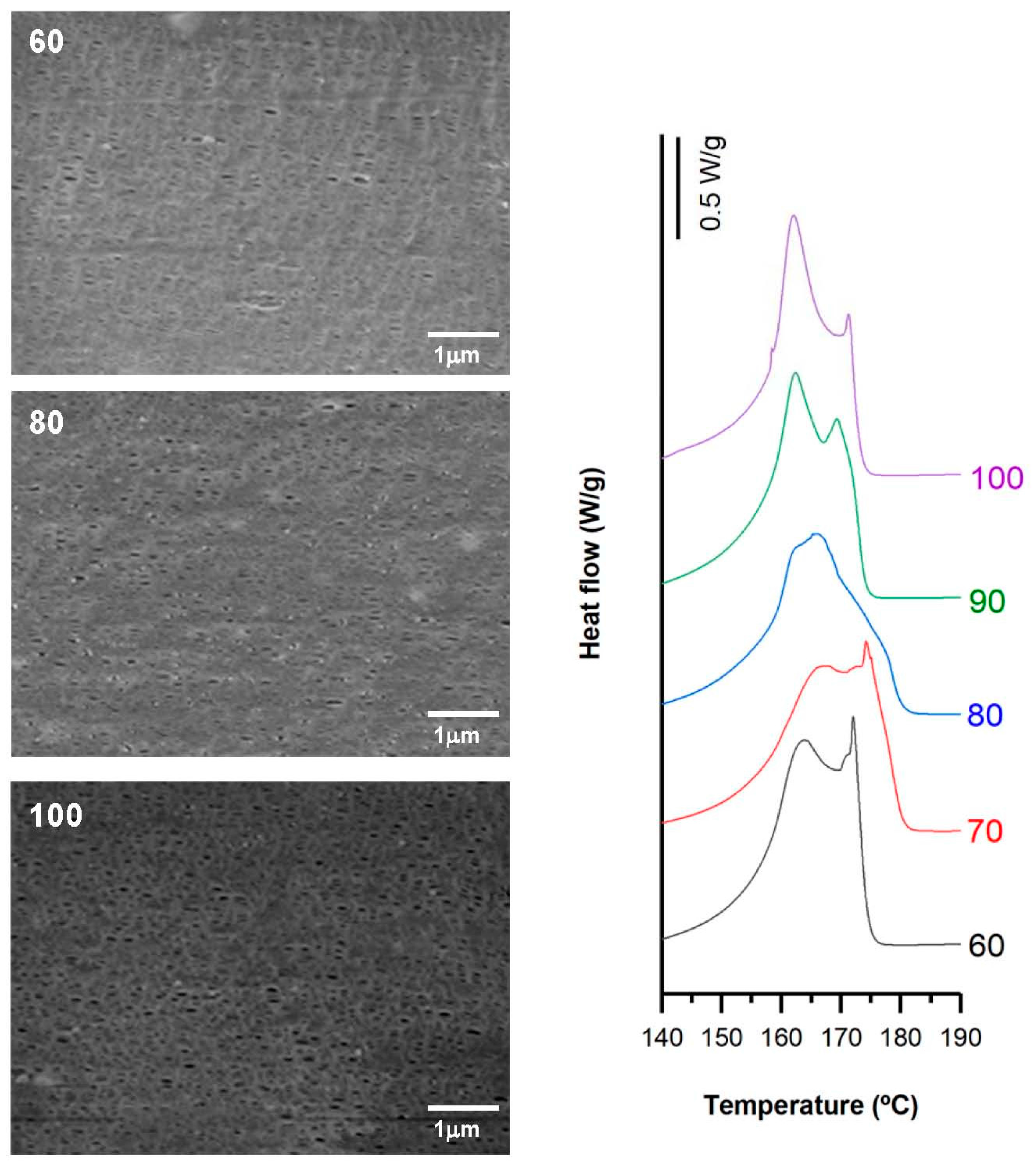 Polymers 10 00033 g007