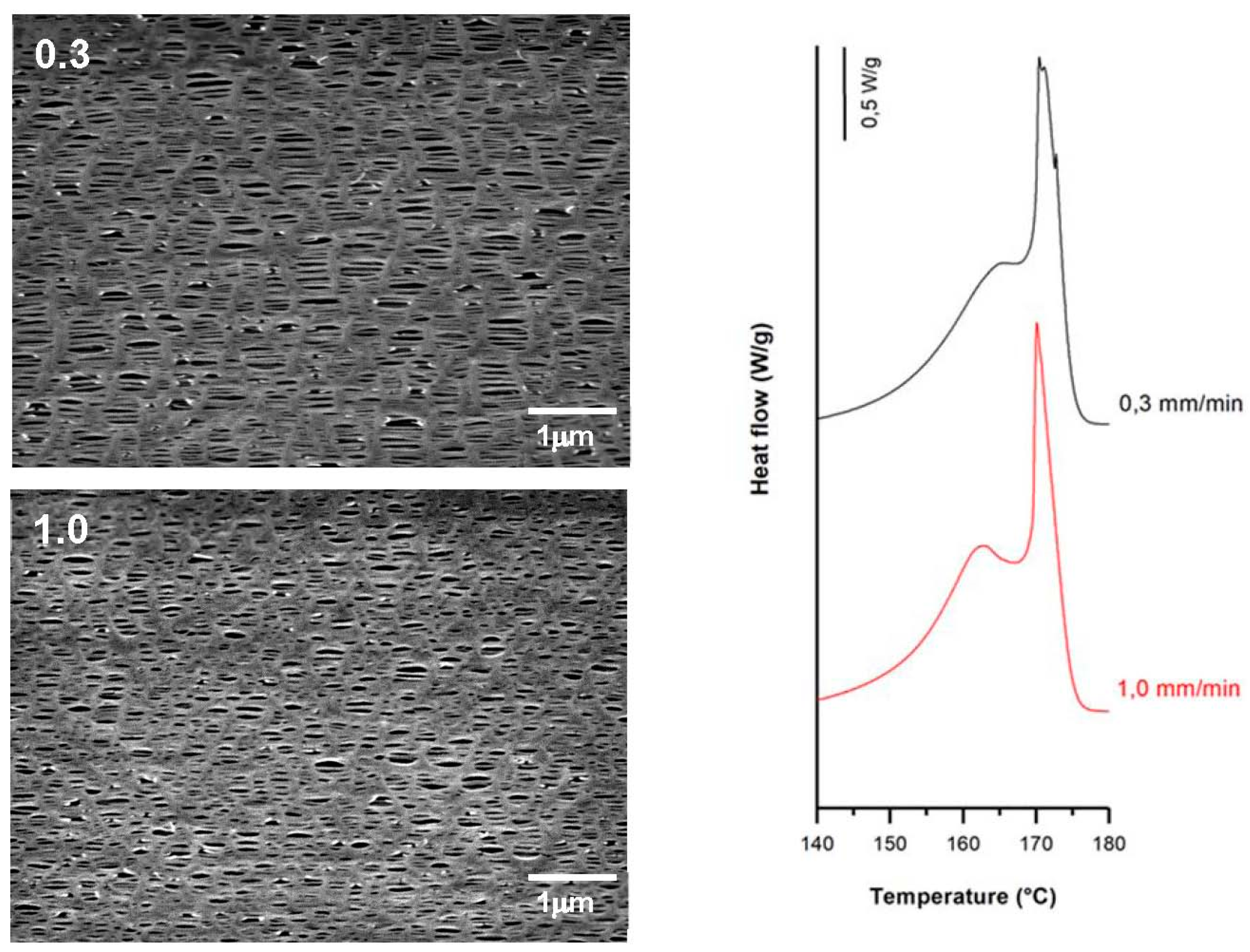 Polymers 10 00033 g008