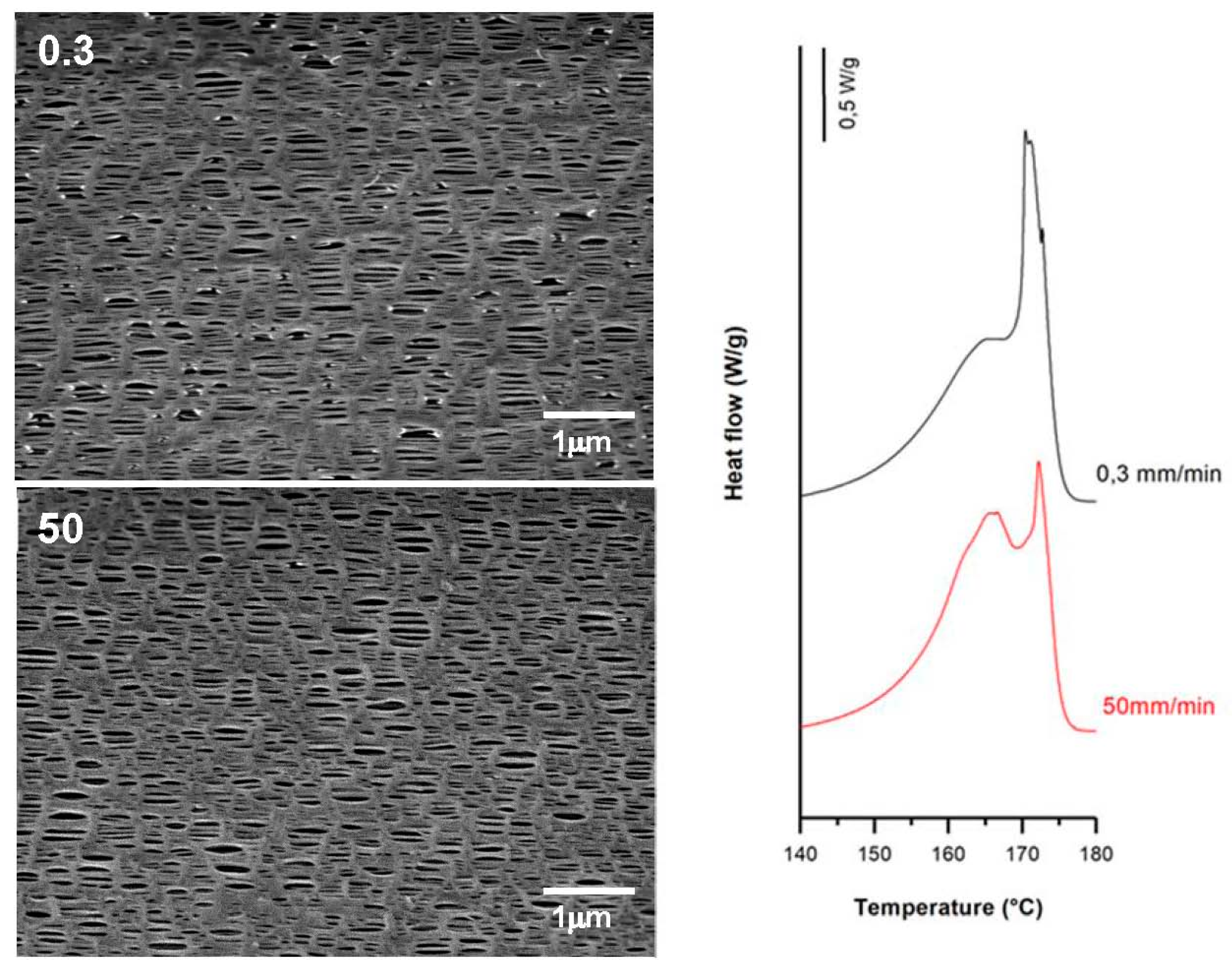 Polymers 10 00033 g009