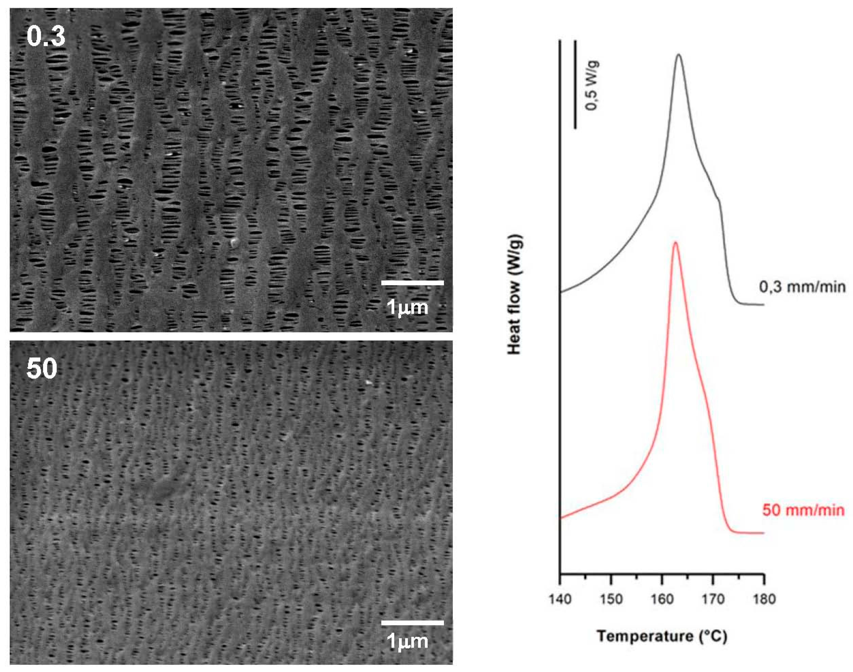 Polymers 10 00033 g010