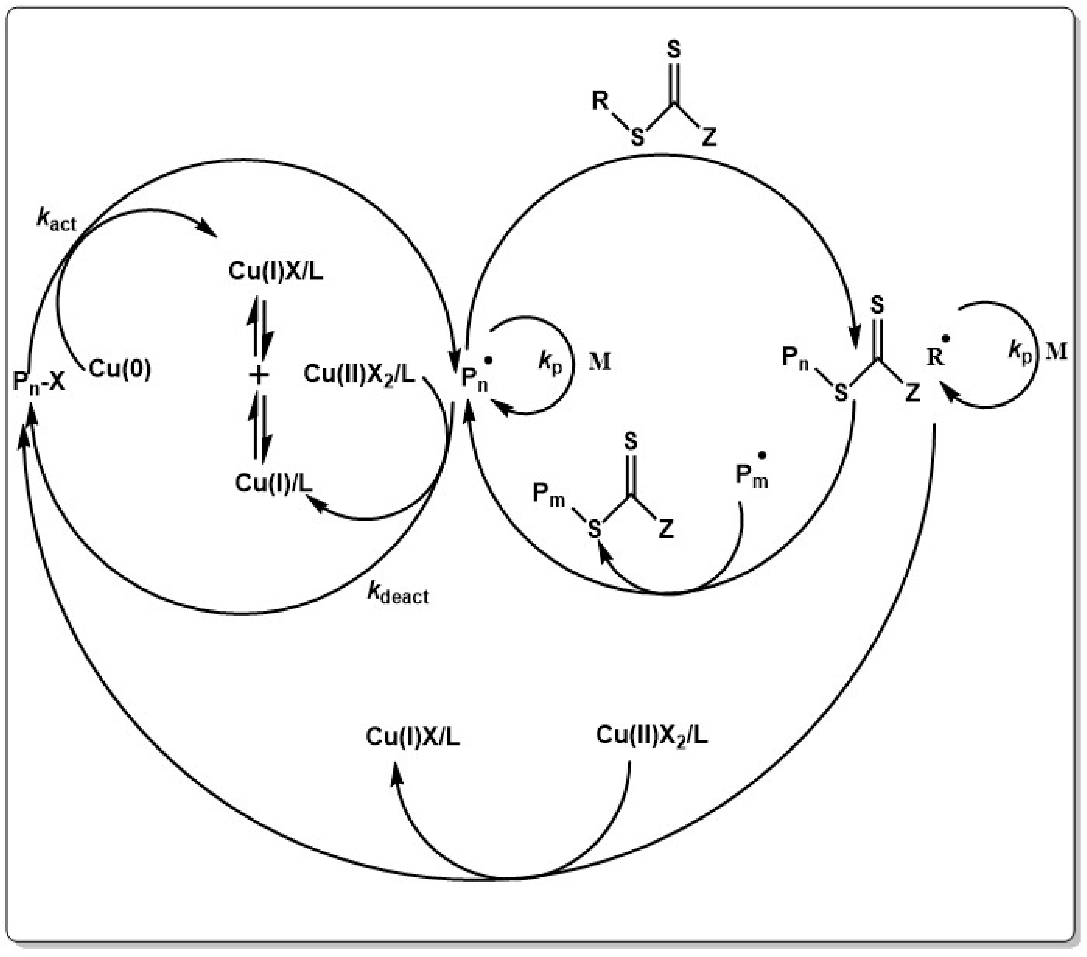 Polymers Free Full Text Metal Free Reversible Deactivation Radical Polymerizations Advances Challenges And Opportunities Html