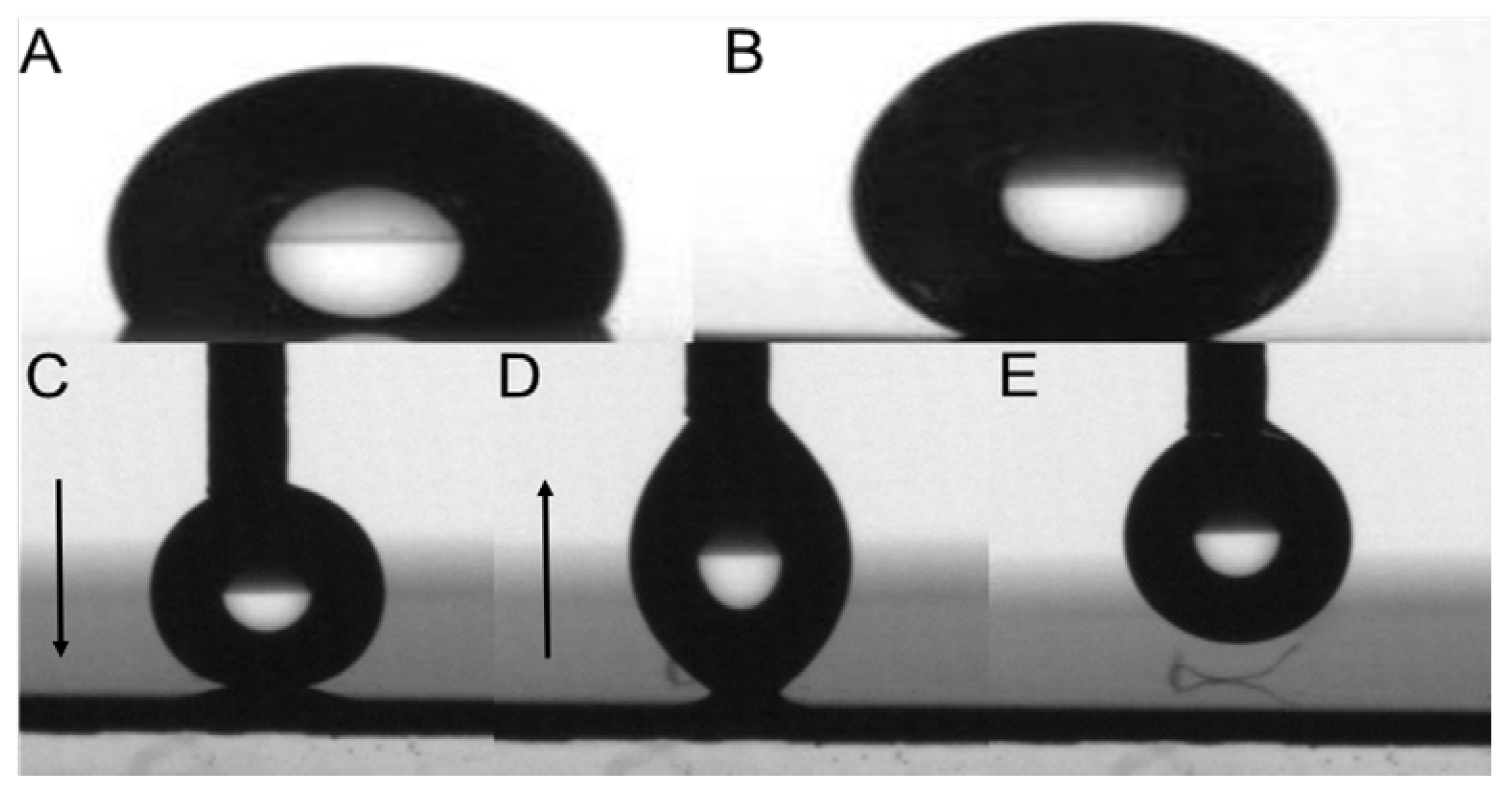 Polymers 10 00037 g003 550