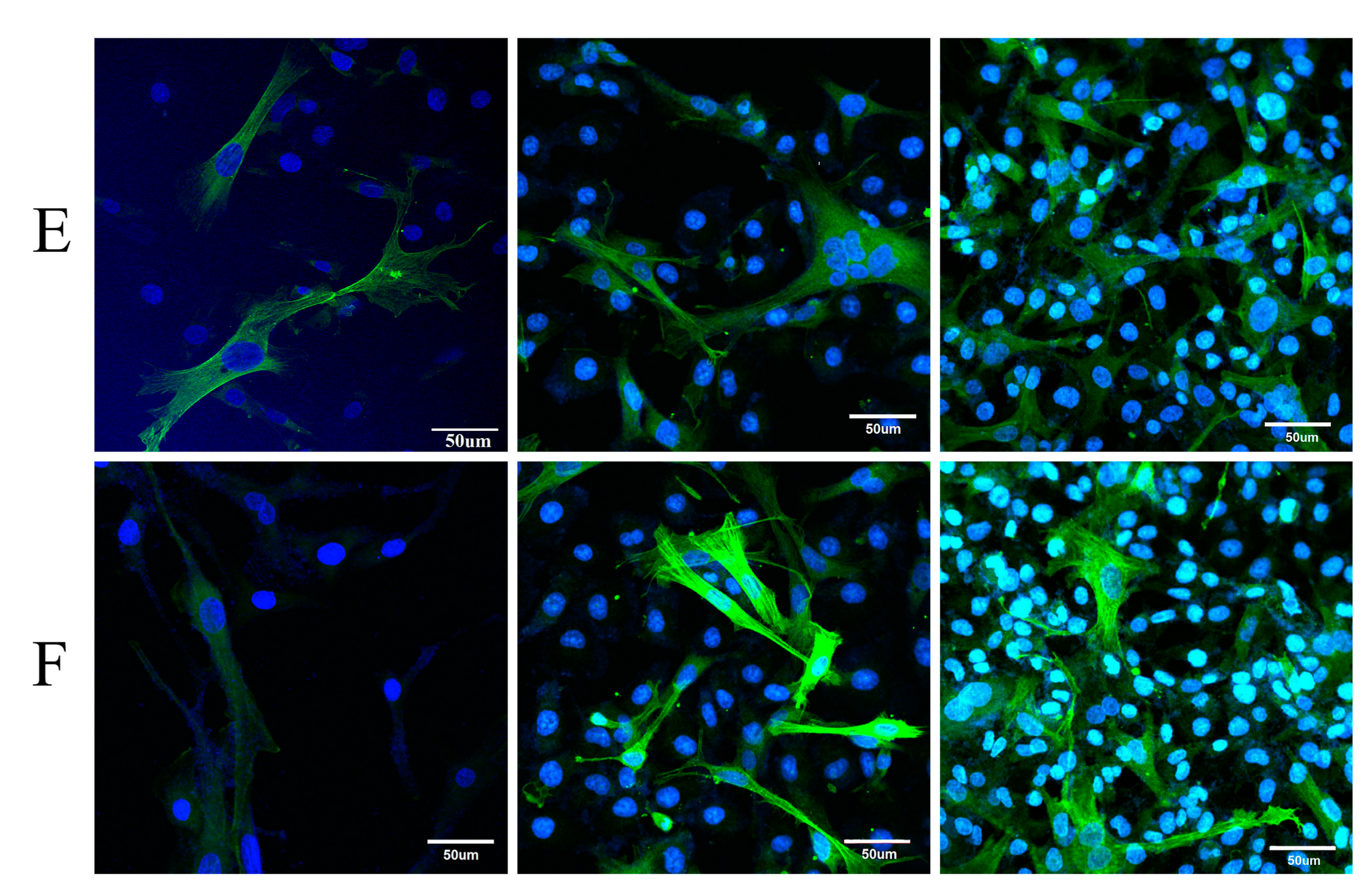 Polymers 10 00039 g003b Polymers 10 00039 g003b