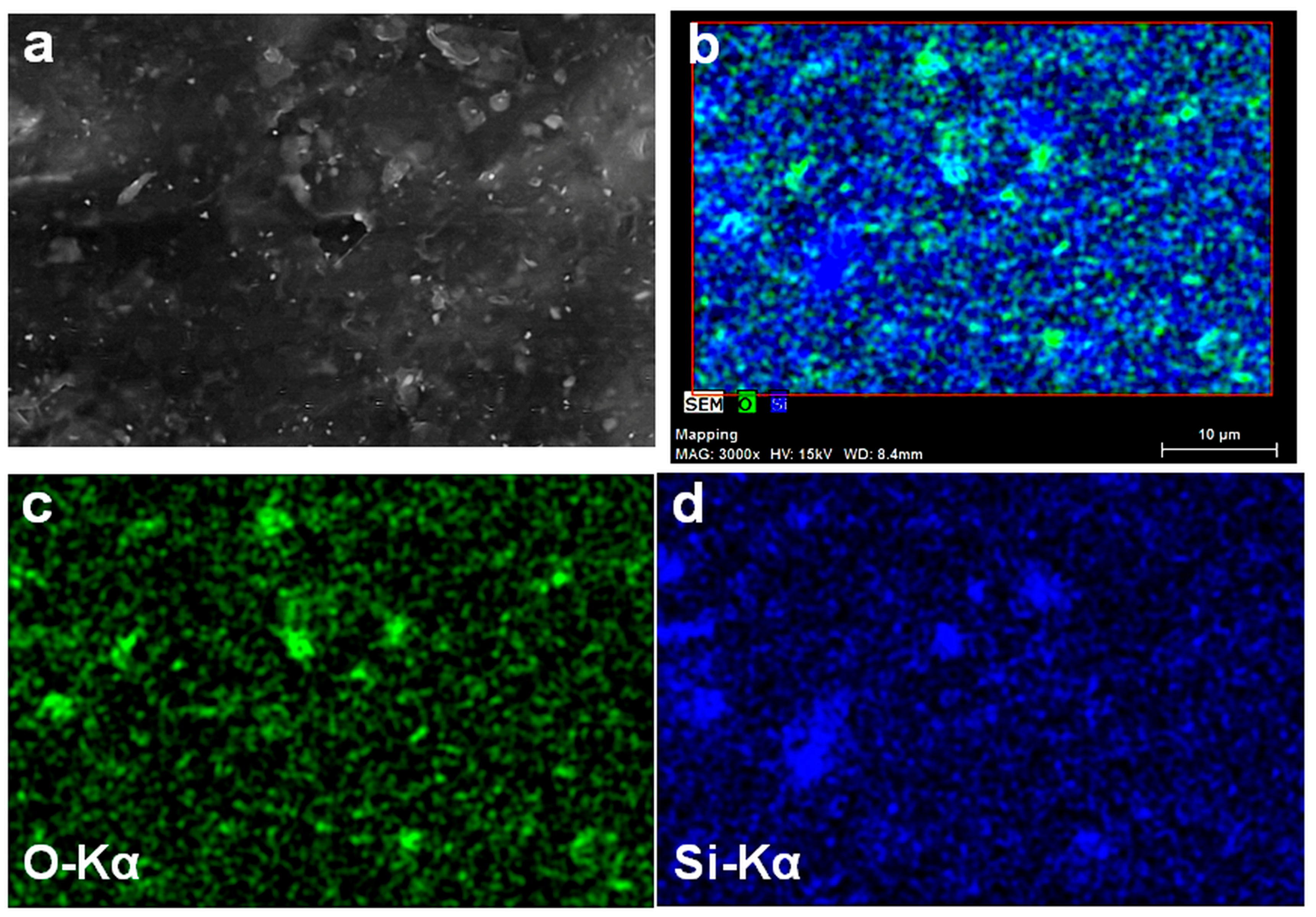Polymers 10 00046 g004