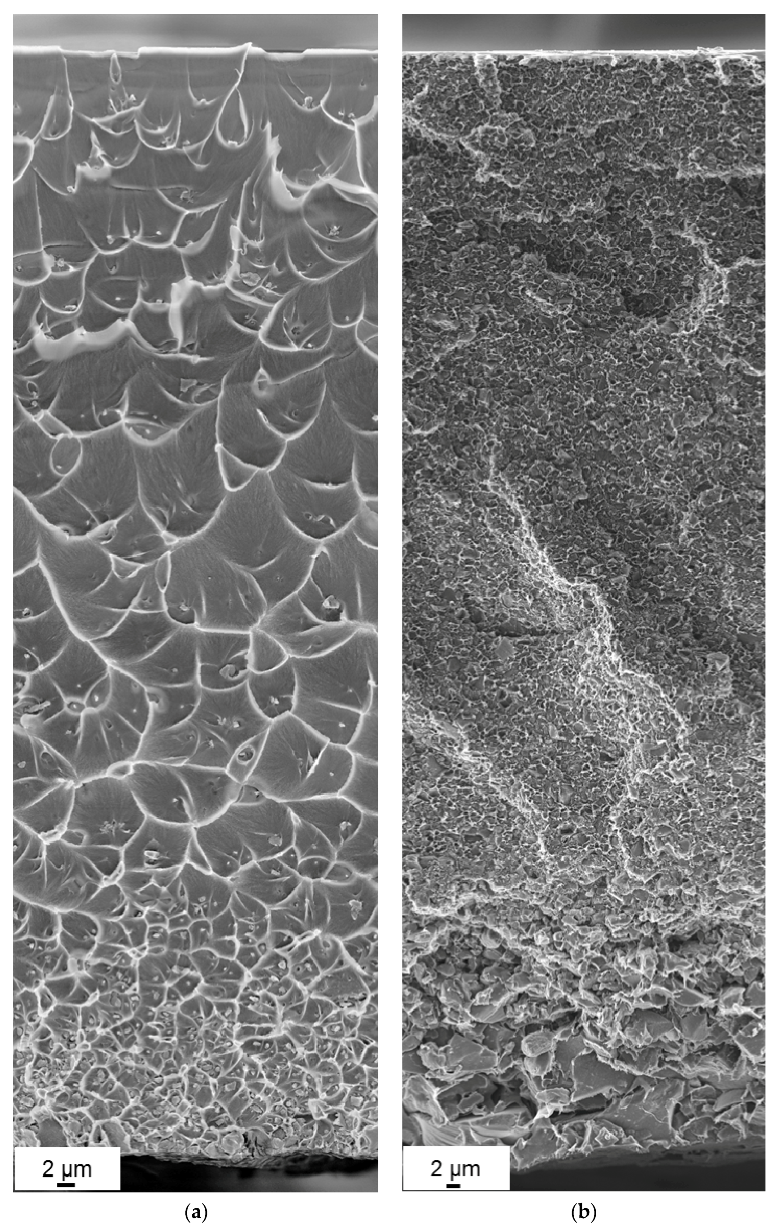 Polymers 10 00051 g005 550